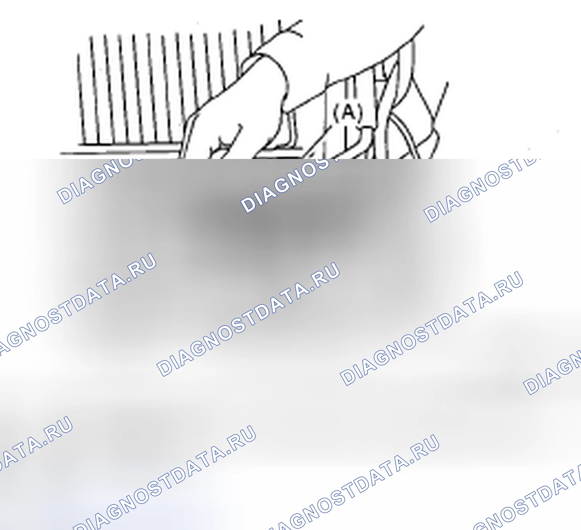 Рис. 297. Subaru Impreza WRX GD/GG рестайлинг 2