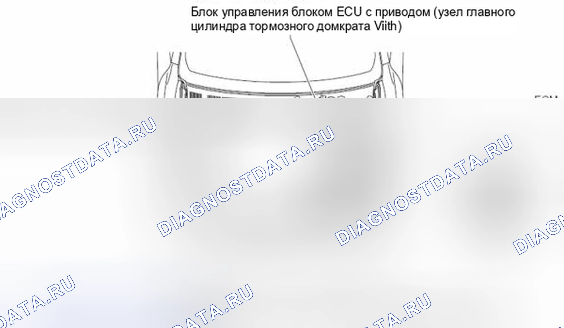 Рис. 433: Моторный отсек. Toyota Camry XV50