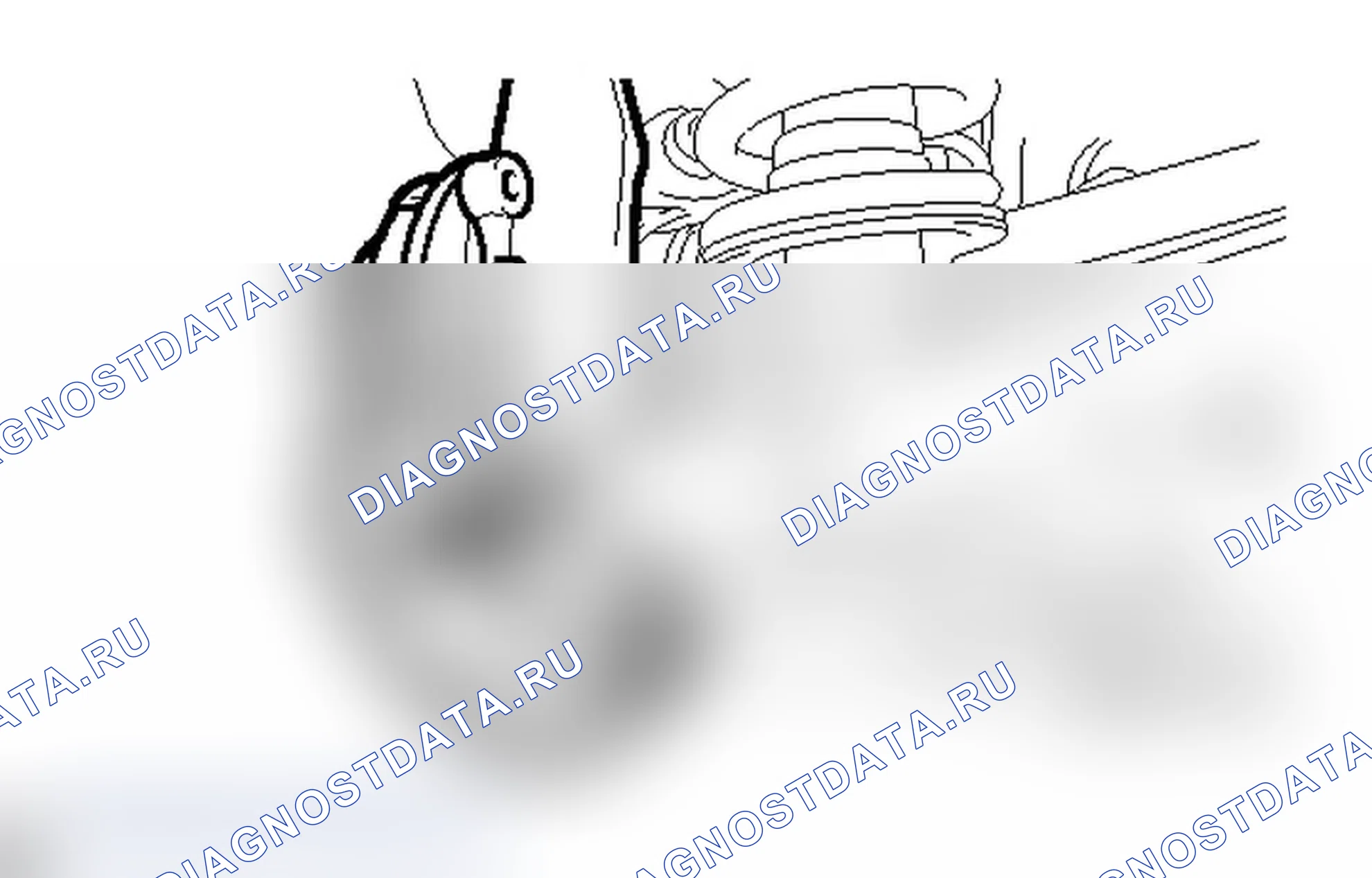 Рис. 30. Lexus IS F I
