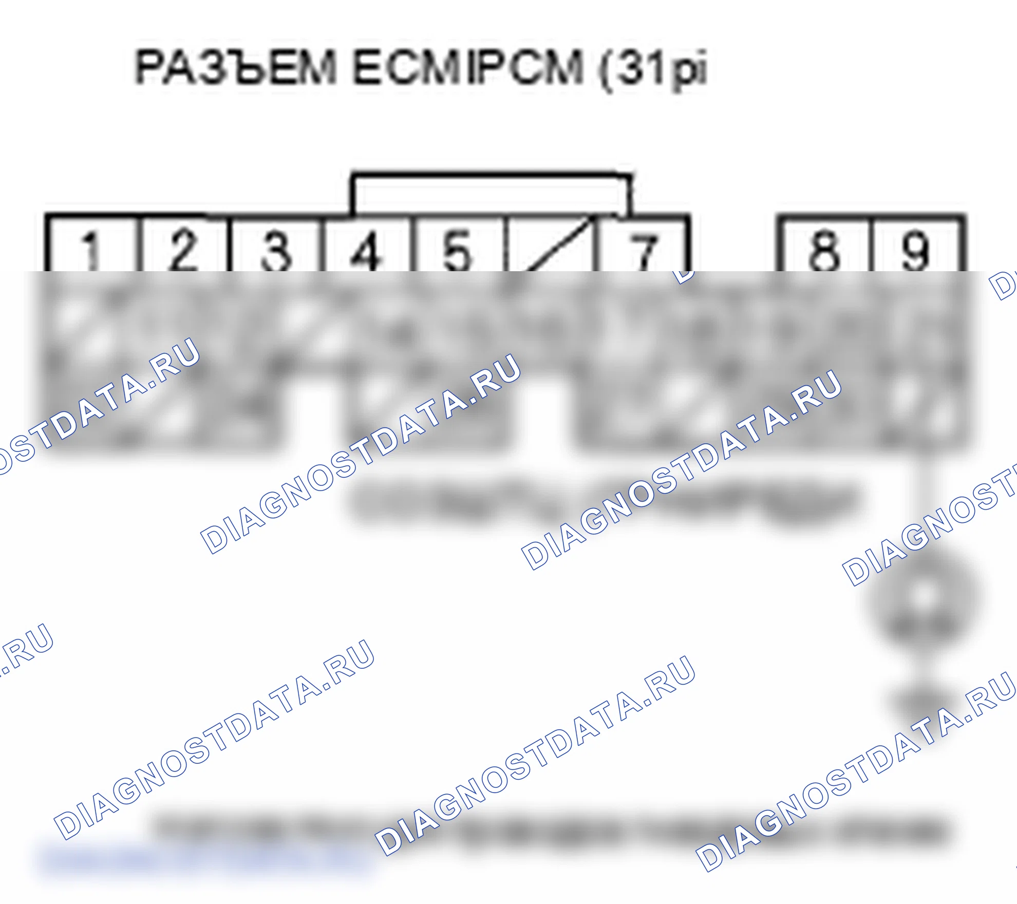 Рис. 404. Honda Element YH2 рестайлинг