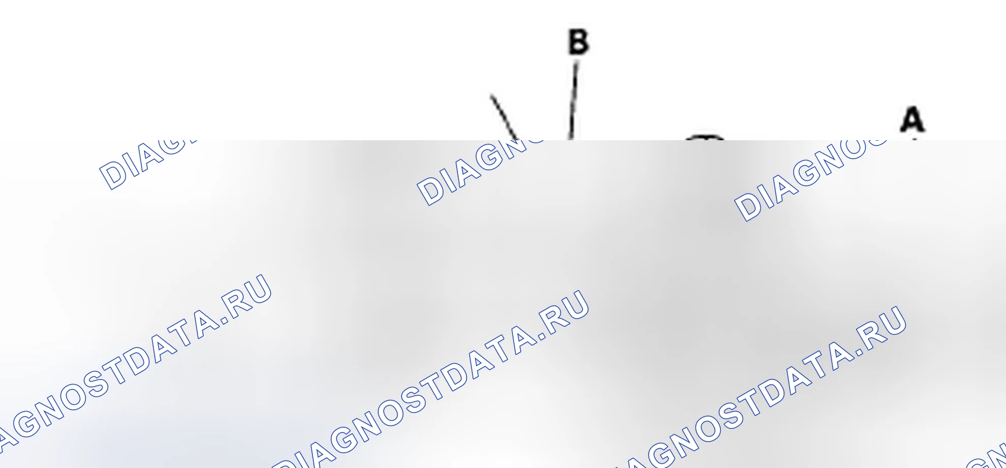 Рис. 2: Испытание крышки радиатора. Honda Element YH2 рестайлинг
