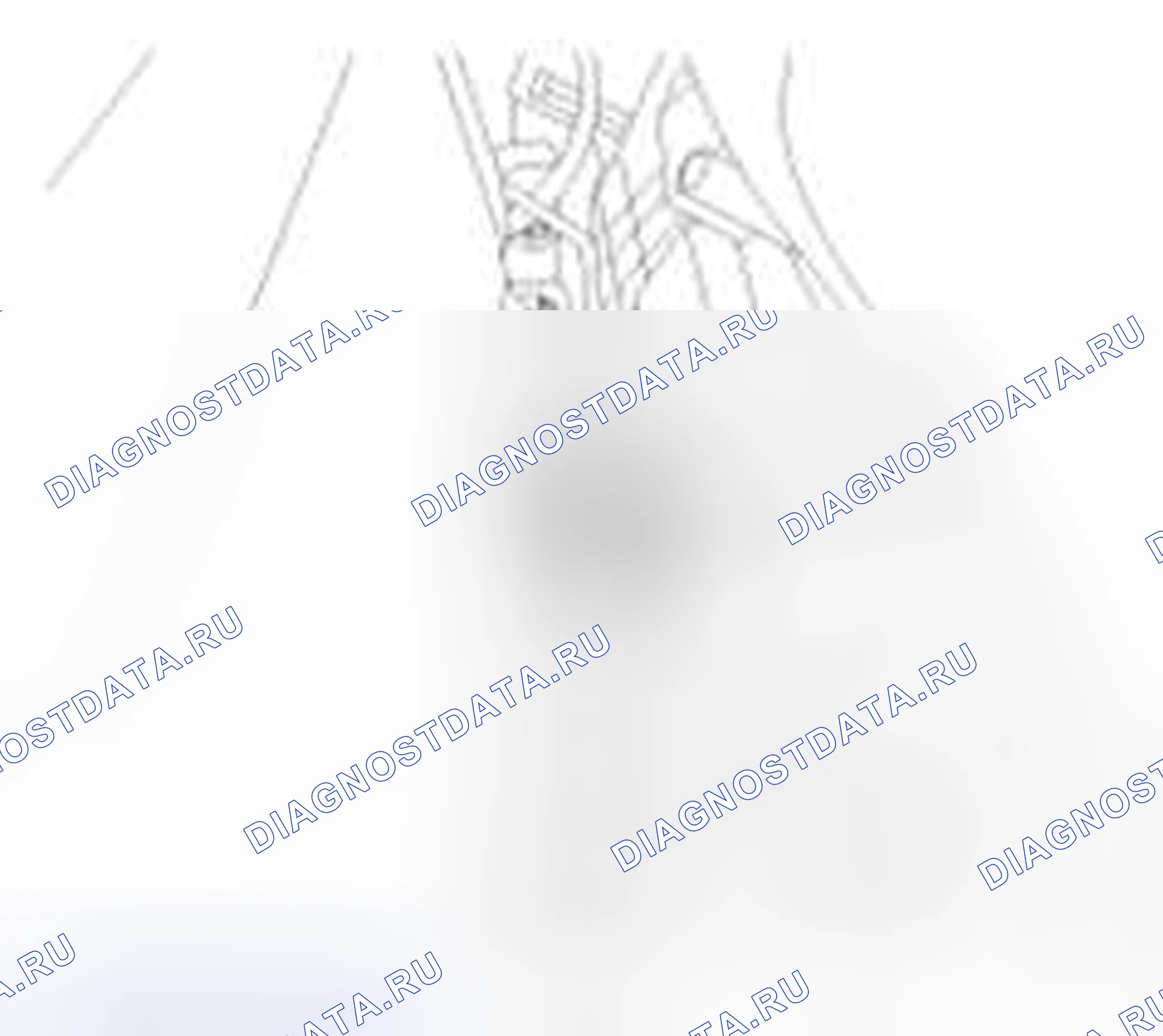 Рис. 8. Haval Beast (Shenshou) I