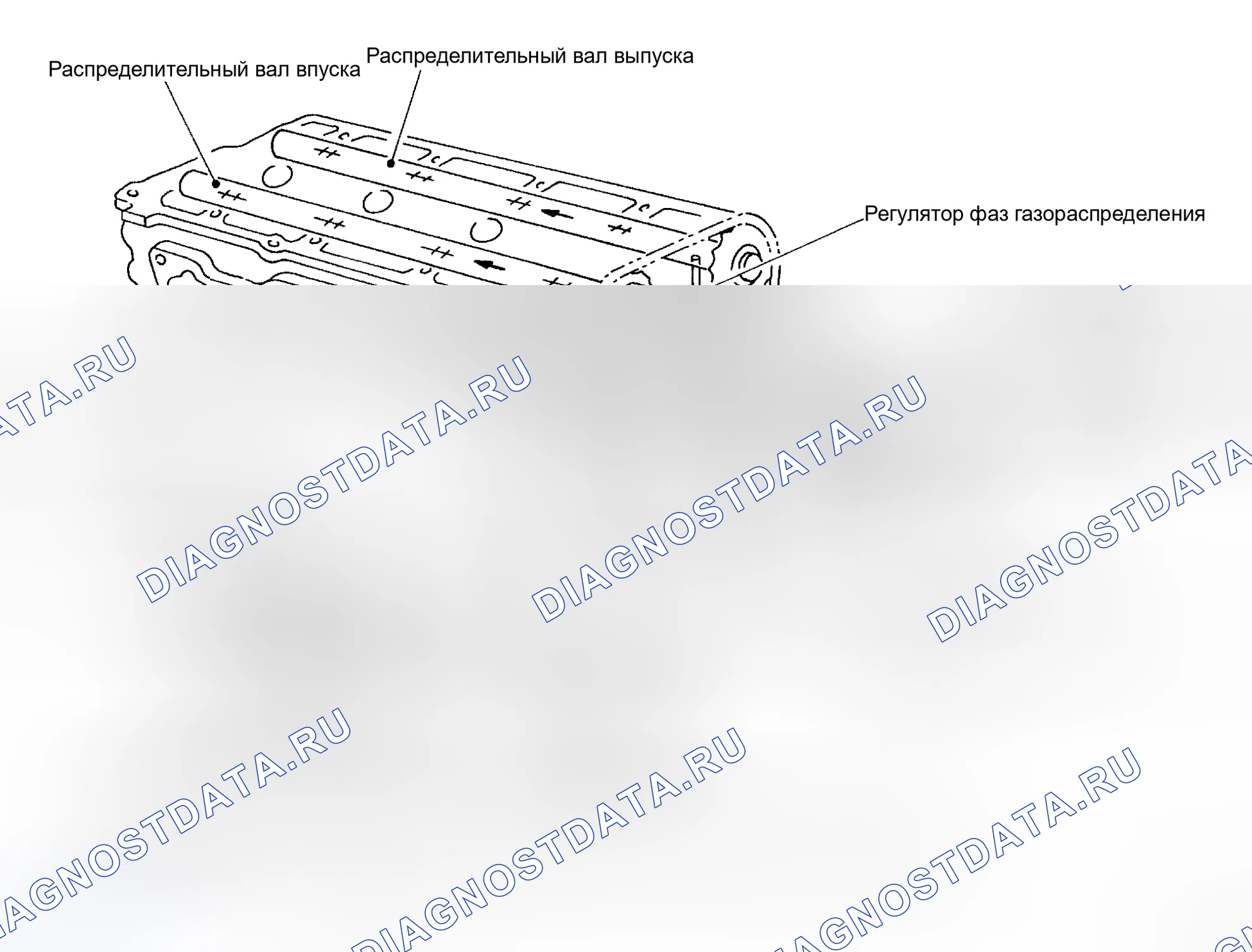 Рис. 10: Схема смазки. Honda Odyssey I