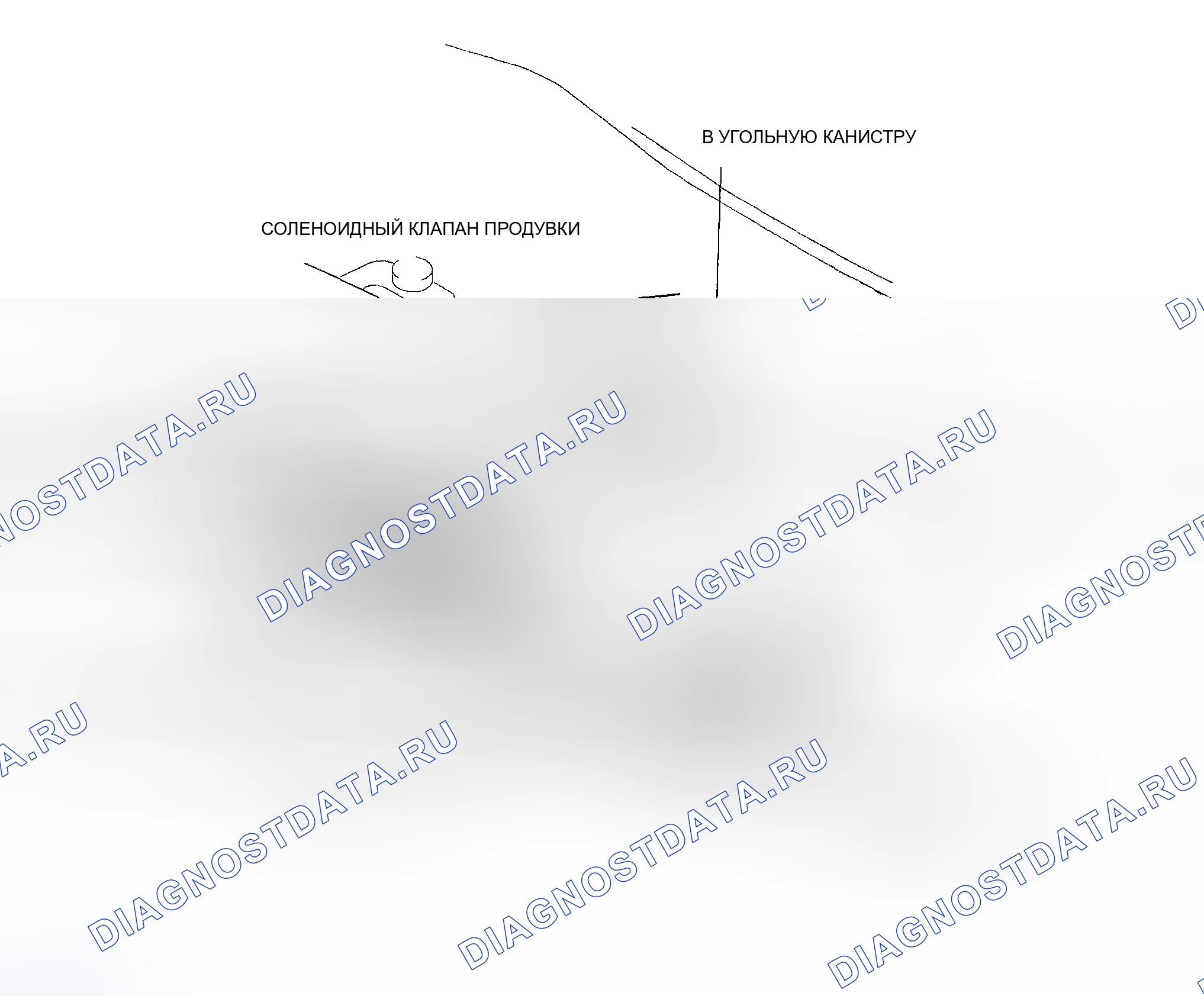 Рис. 257: Схема прокладки вакуумного шланга. Mazda 6 GH рестайлинг