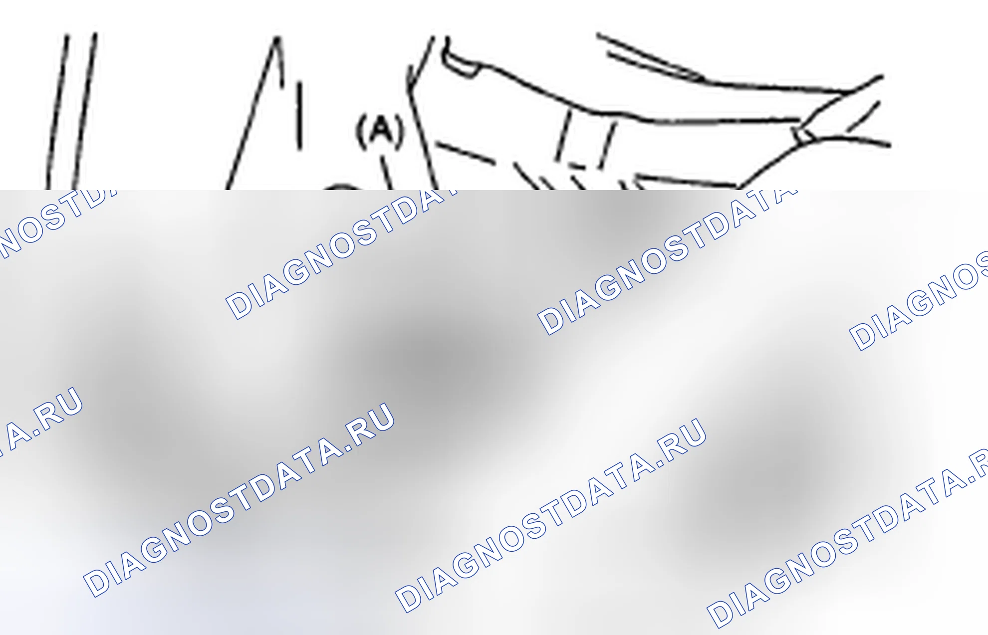 Рис. 16. Subaru Impreza GH