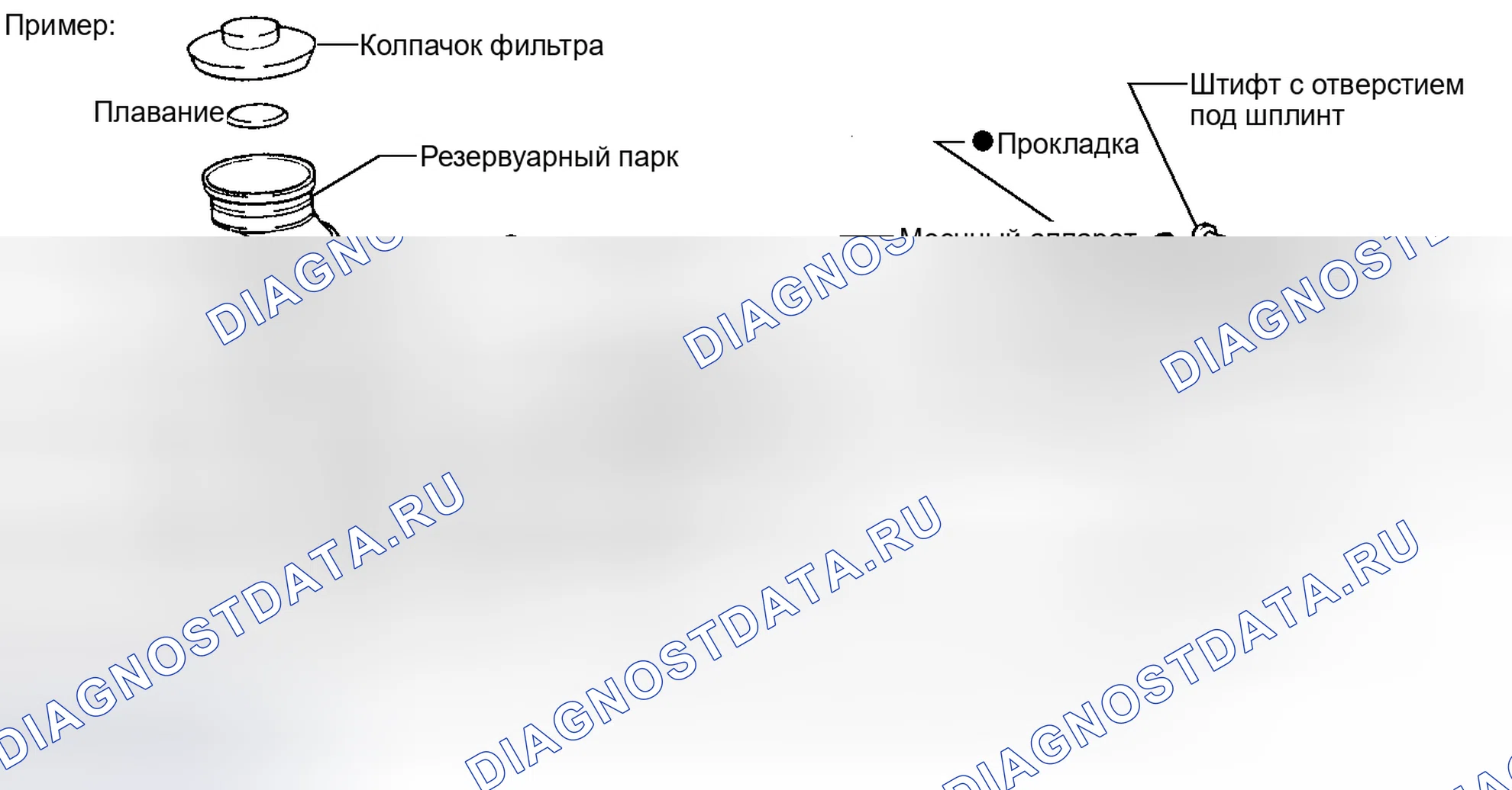 Рис. 1: ОБЩИЕ СВЕДЕНИЯ. Honda Accord V