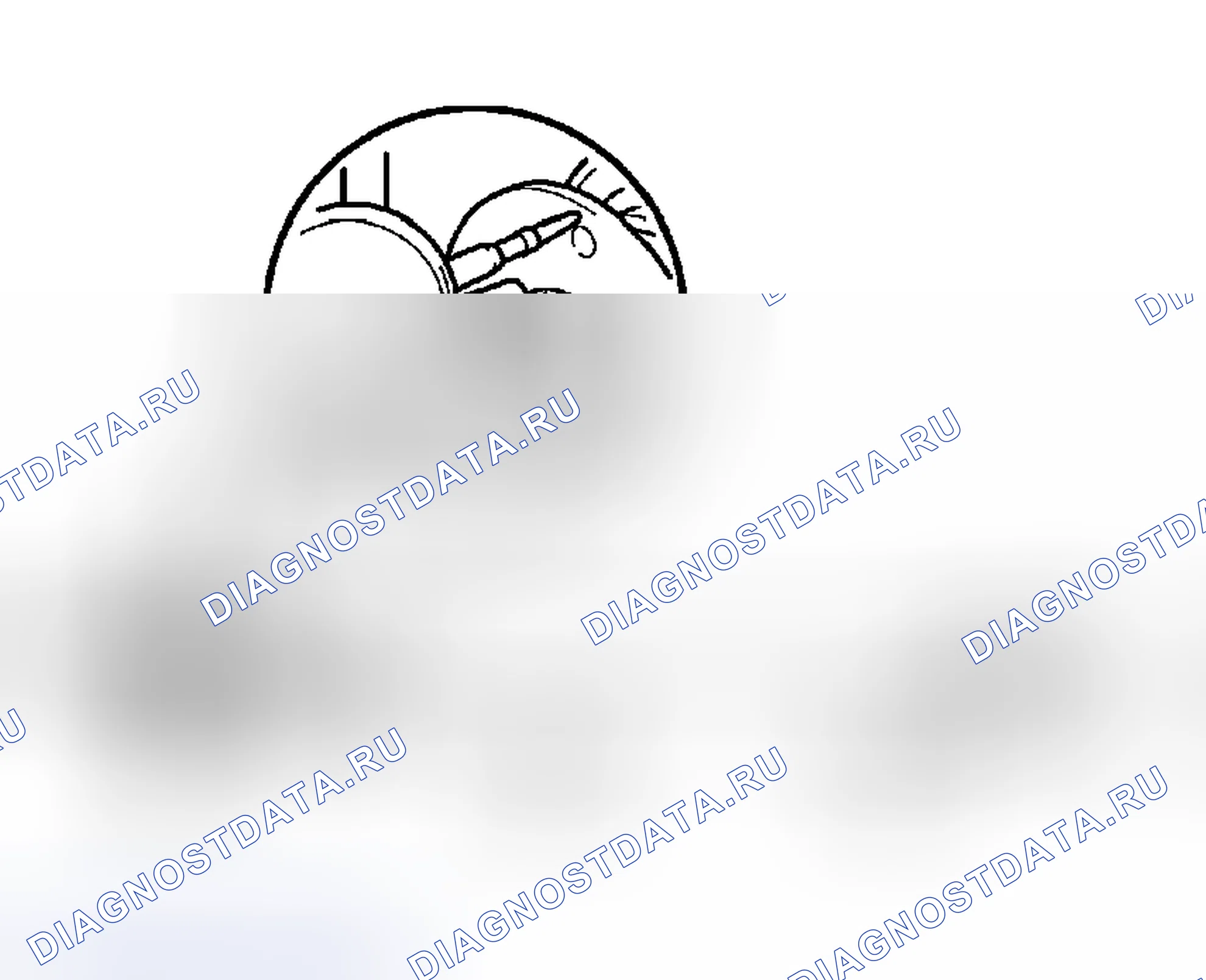 Рис. 15. Lexus RX II