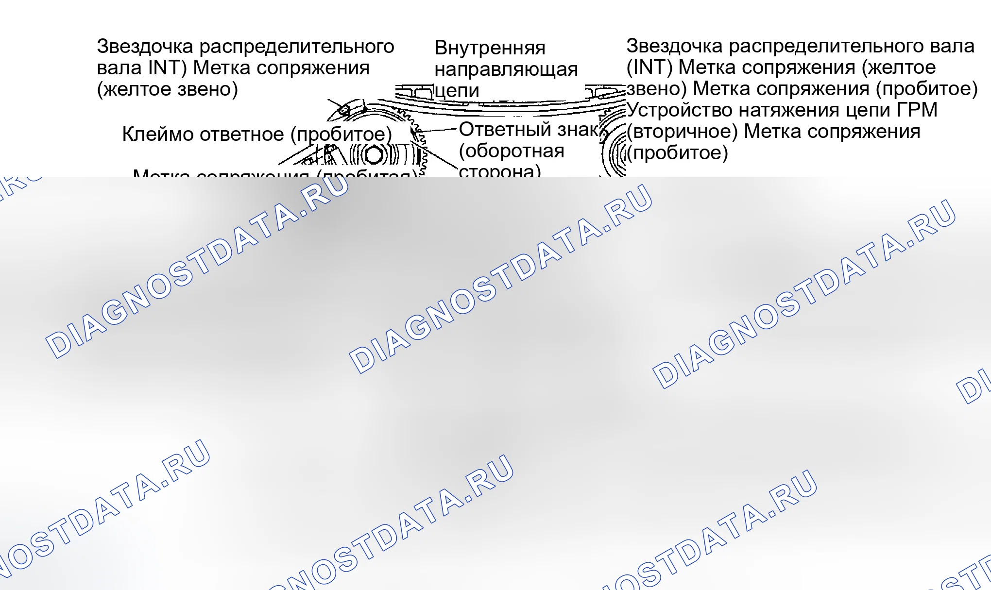 Рис. 1300: УСТАНОВКА. Infiniti G35 III