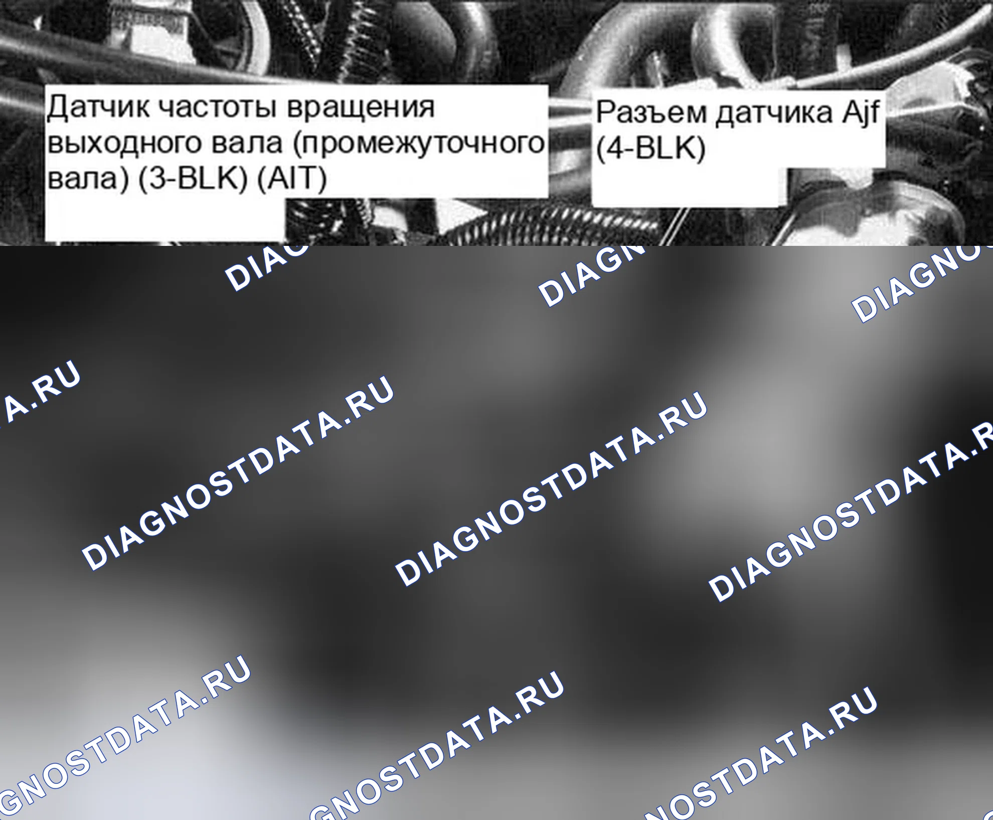 Рис. 319. Honda Accord VII рестайлинг