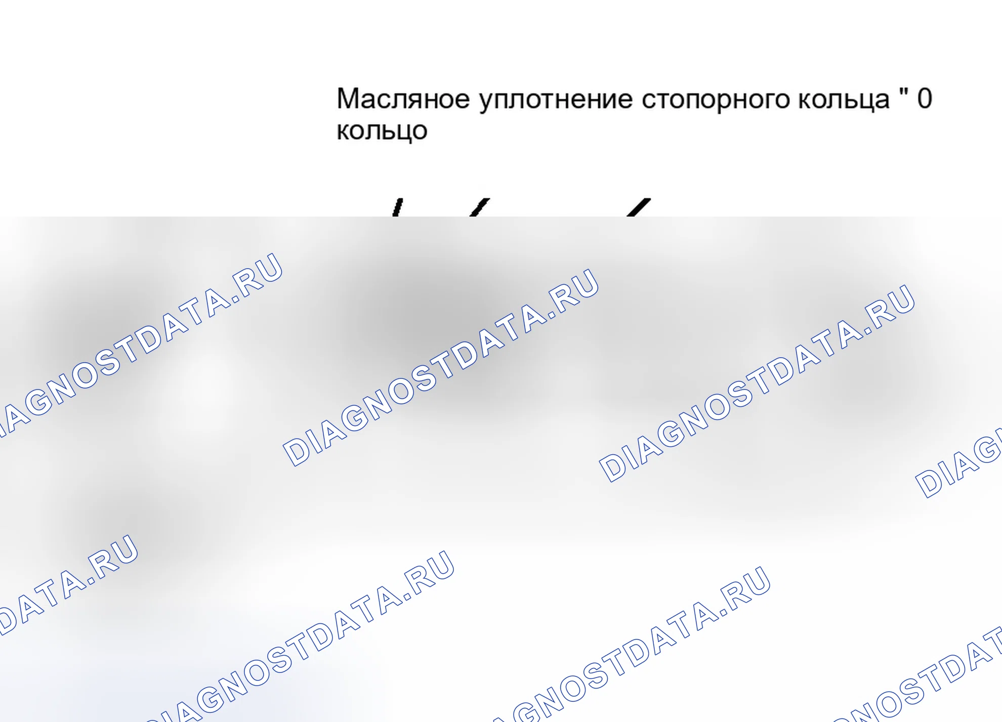 Рис. 77. Dodge Dakota WS 
