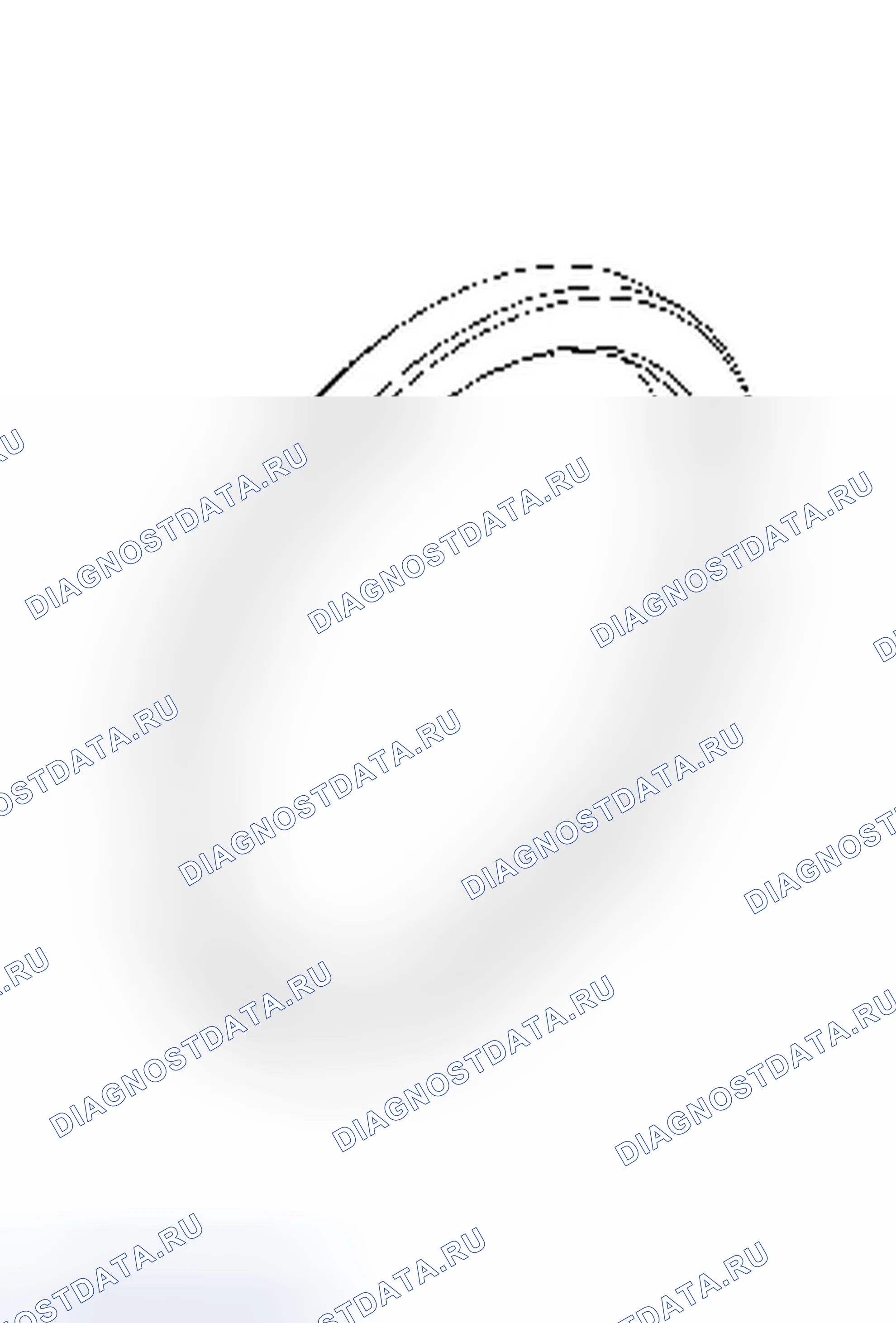 Рис. 4. Dodge Nitro I