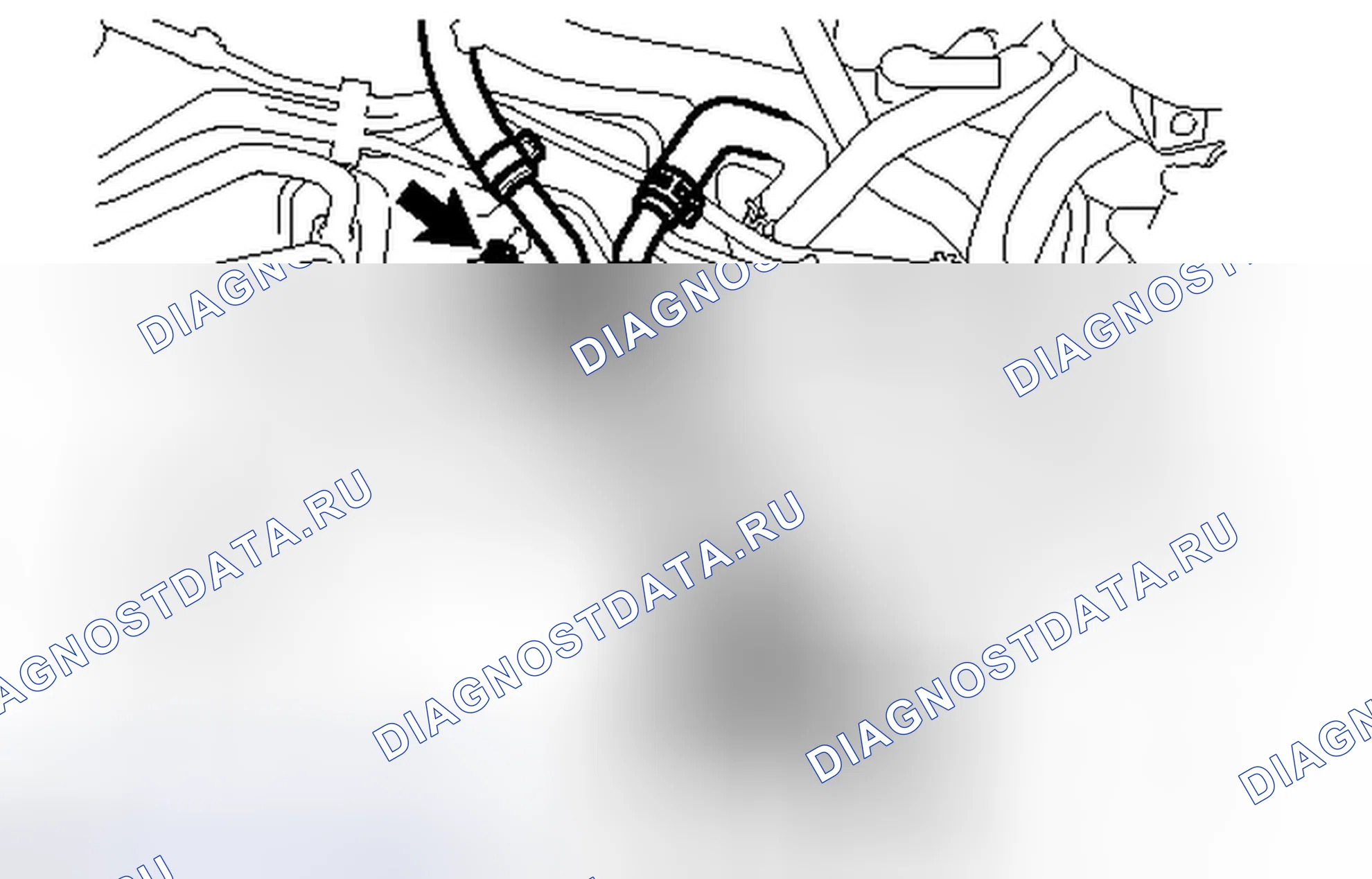 Рис. 351. Honda Accord V