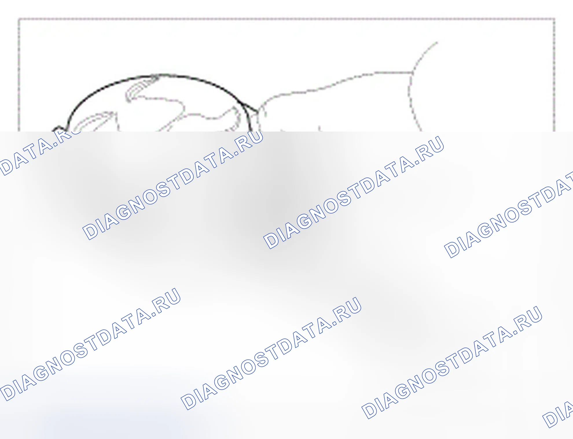 Рис. 921: Поршень и кольца. Hyundai Genesis I рестайлинг