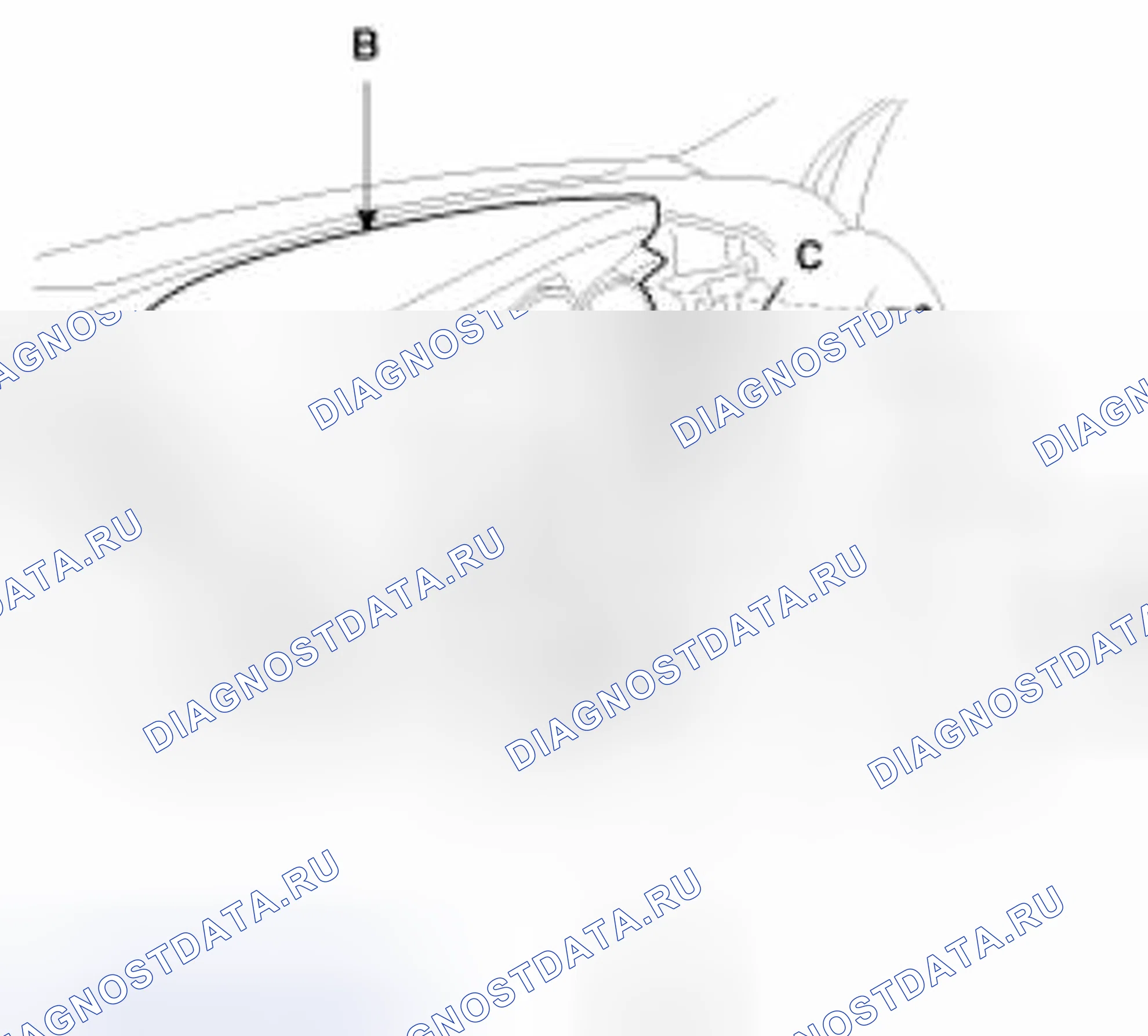Рис. 21. Kia Forte I