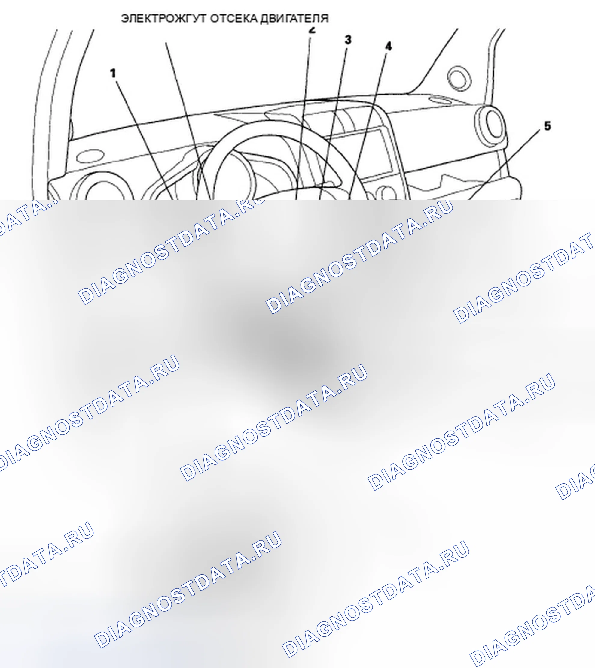 Рис. 48. Honda Element YH2 рестайлинг 2
