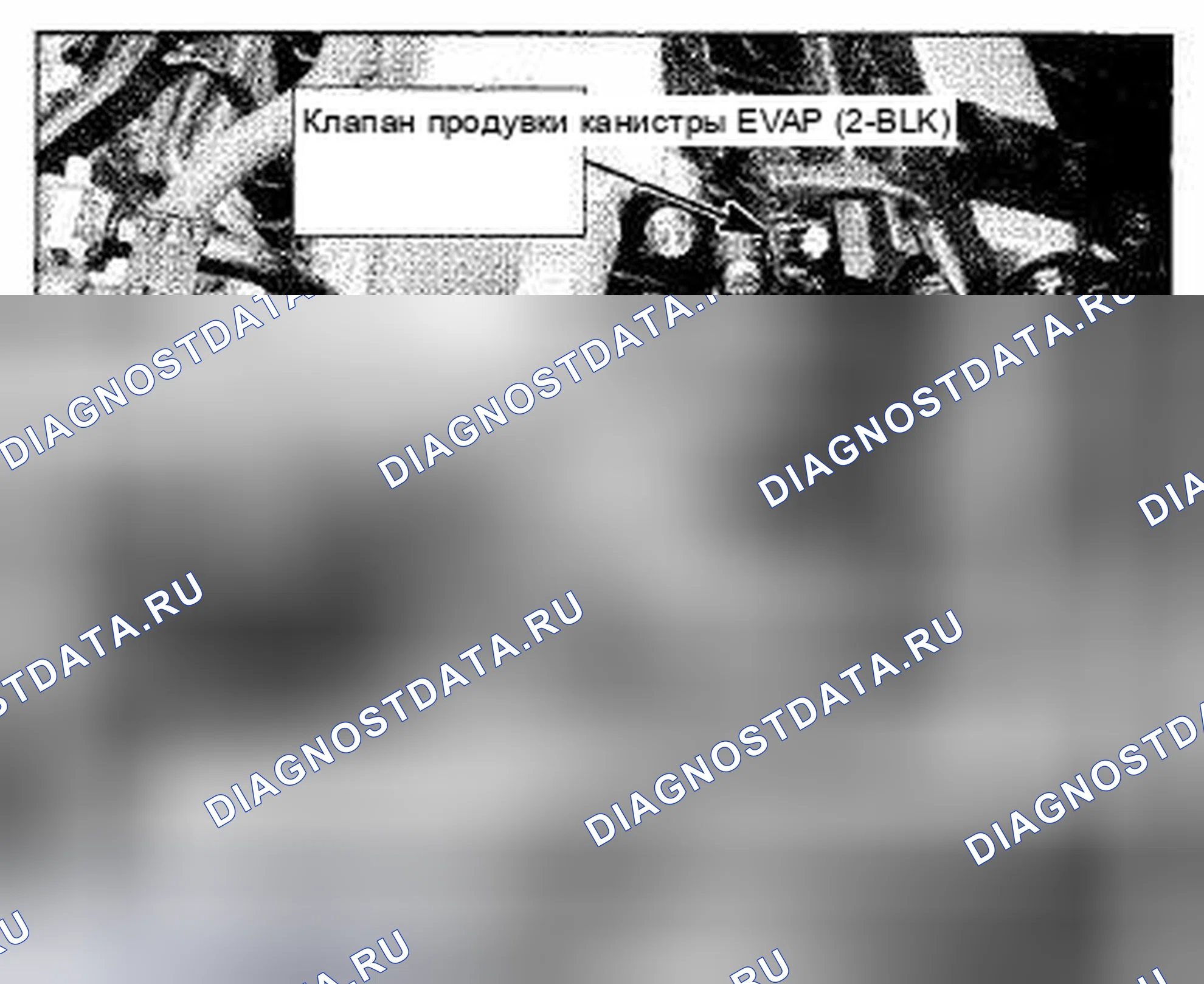 Рис. 396: Расположение компонентов с левой стороны двигателя (Латинская Америка) (Фото 21). Honda CR-V III рестайлинг