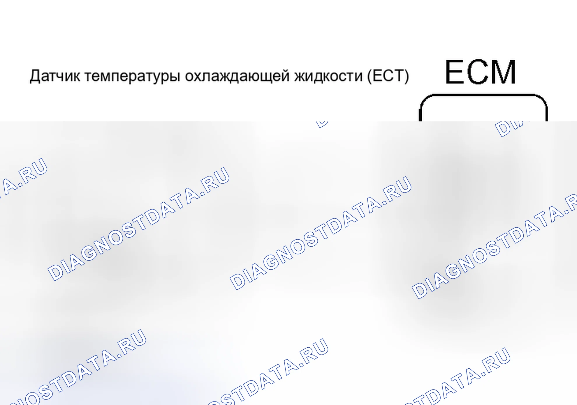 Рис. 89. Scion xB I
