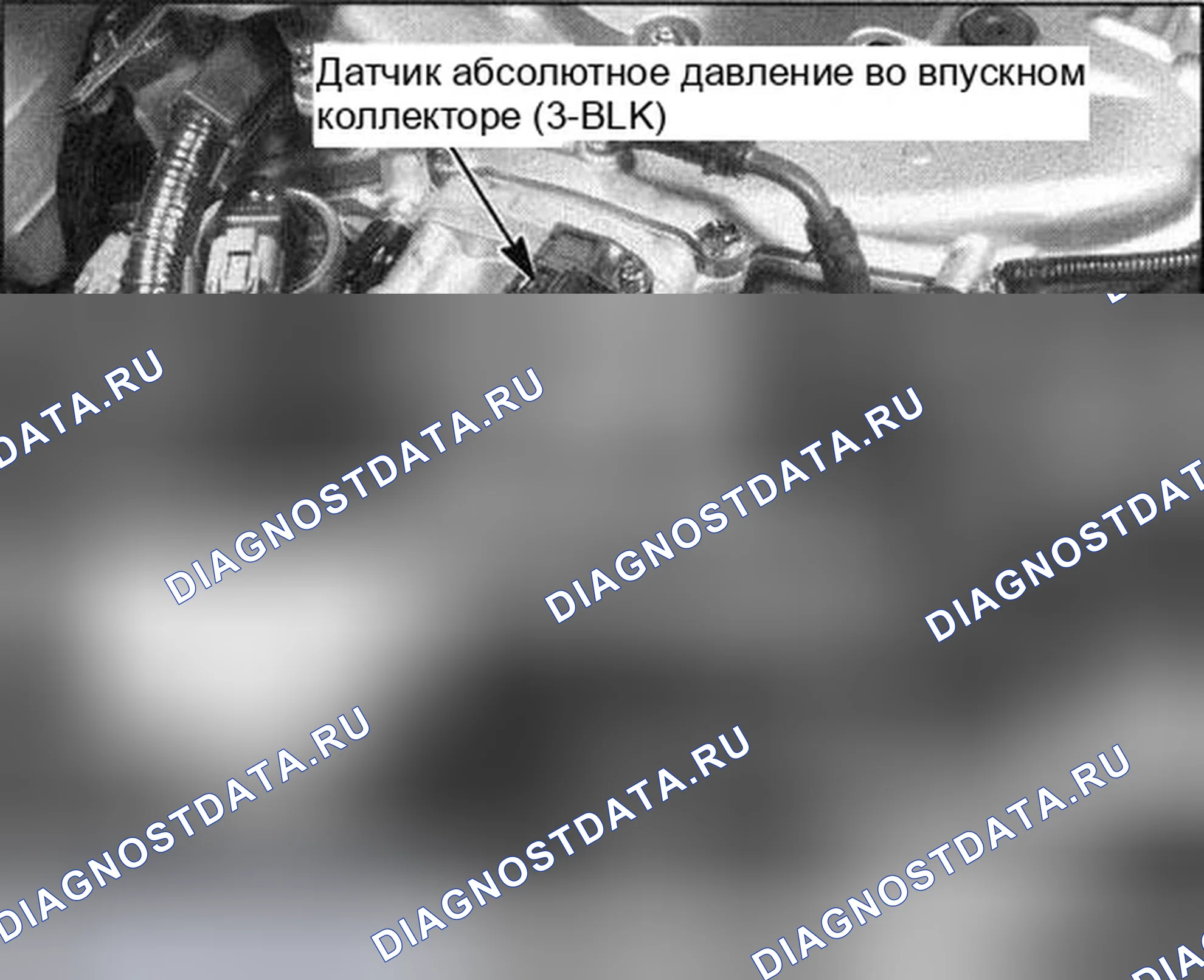Рис. 20. Honda Accord VII рестайлинг
