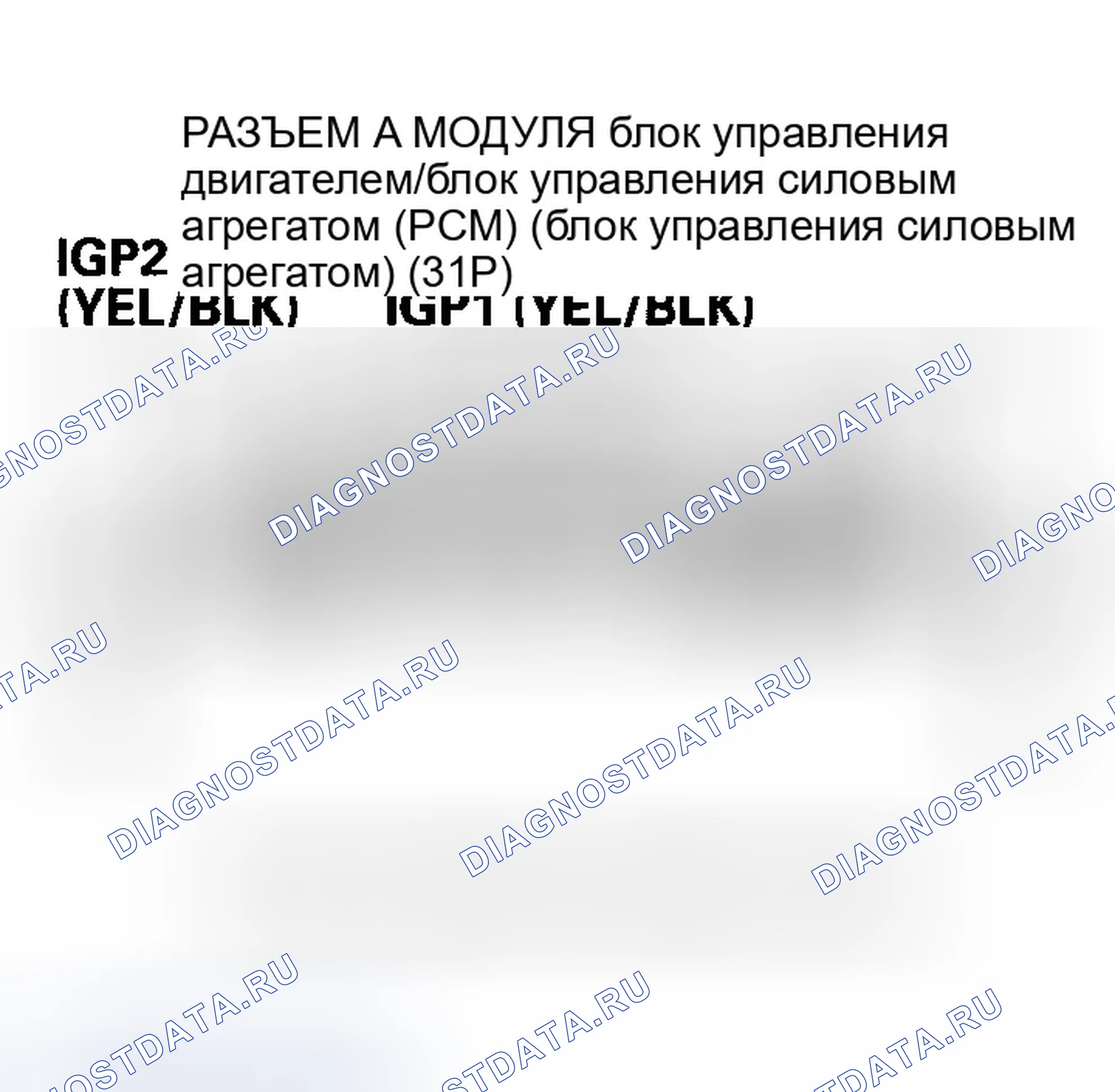 Рис. 147. Honda Element YH2