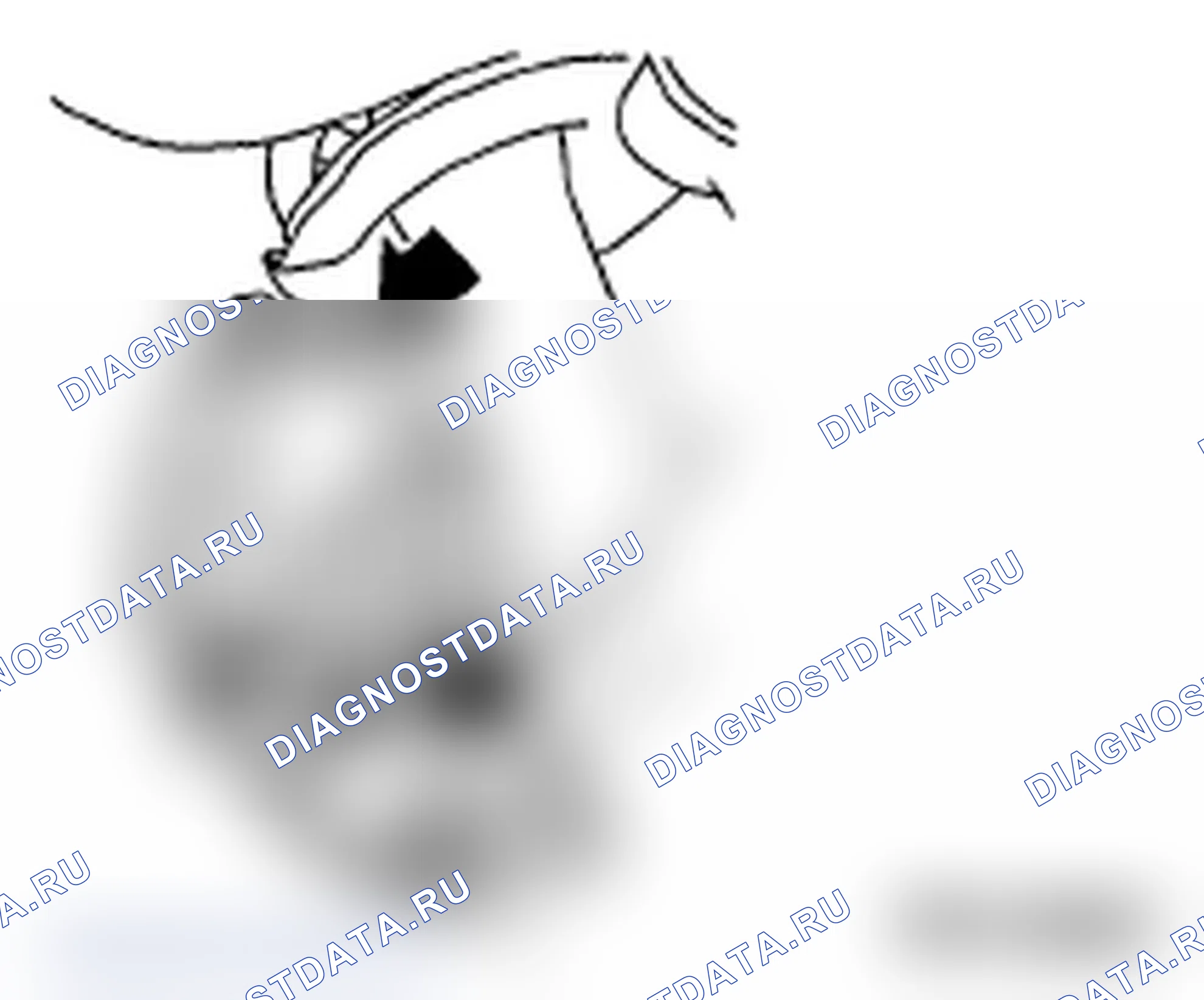 Рис. 106. Subaru Impreza WRX STI GR