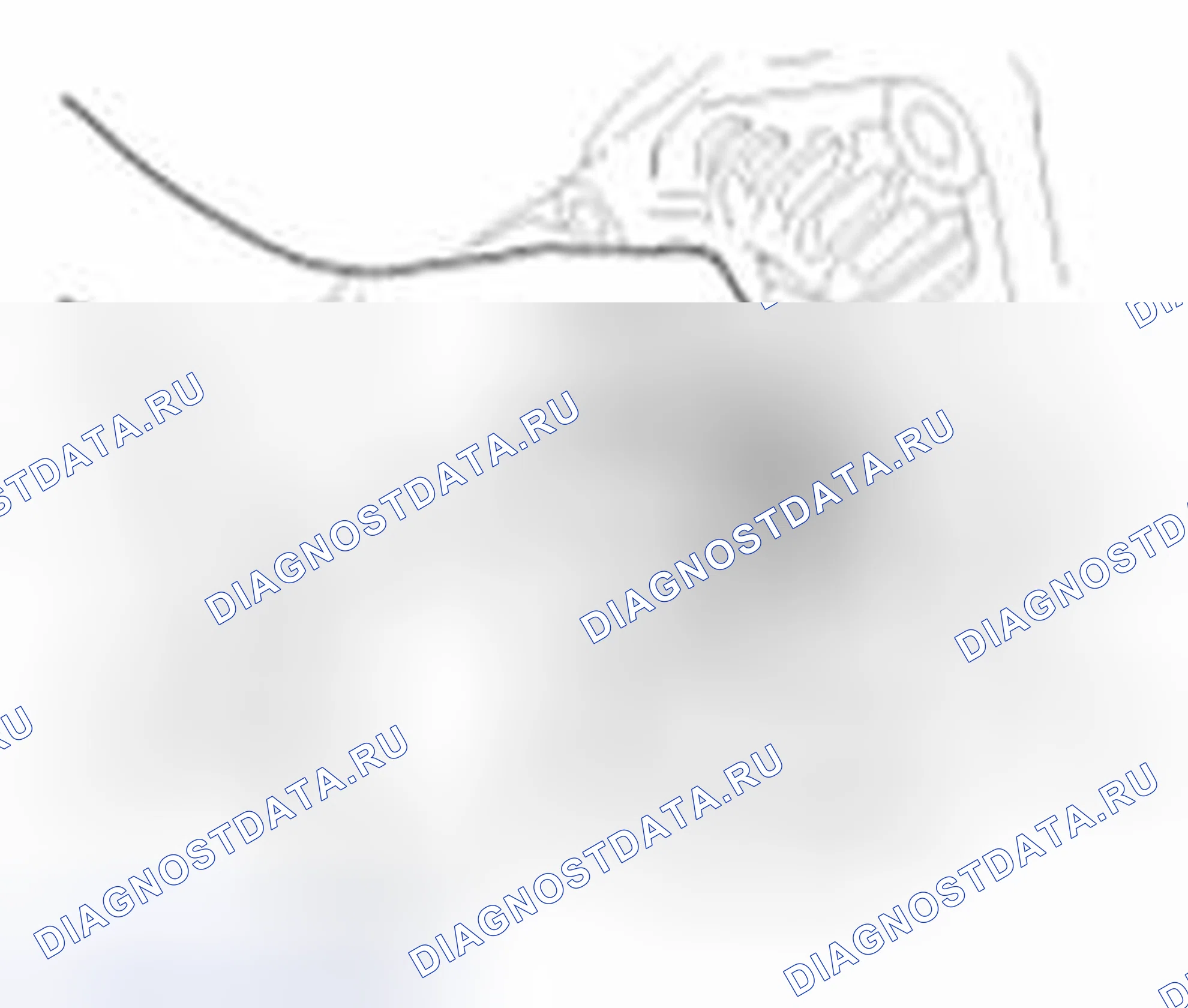 Рис. 53. Geely SC7 I