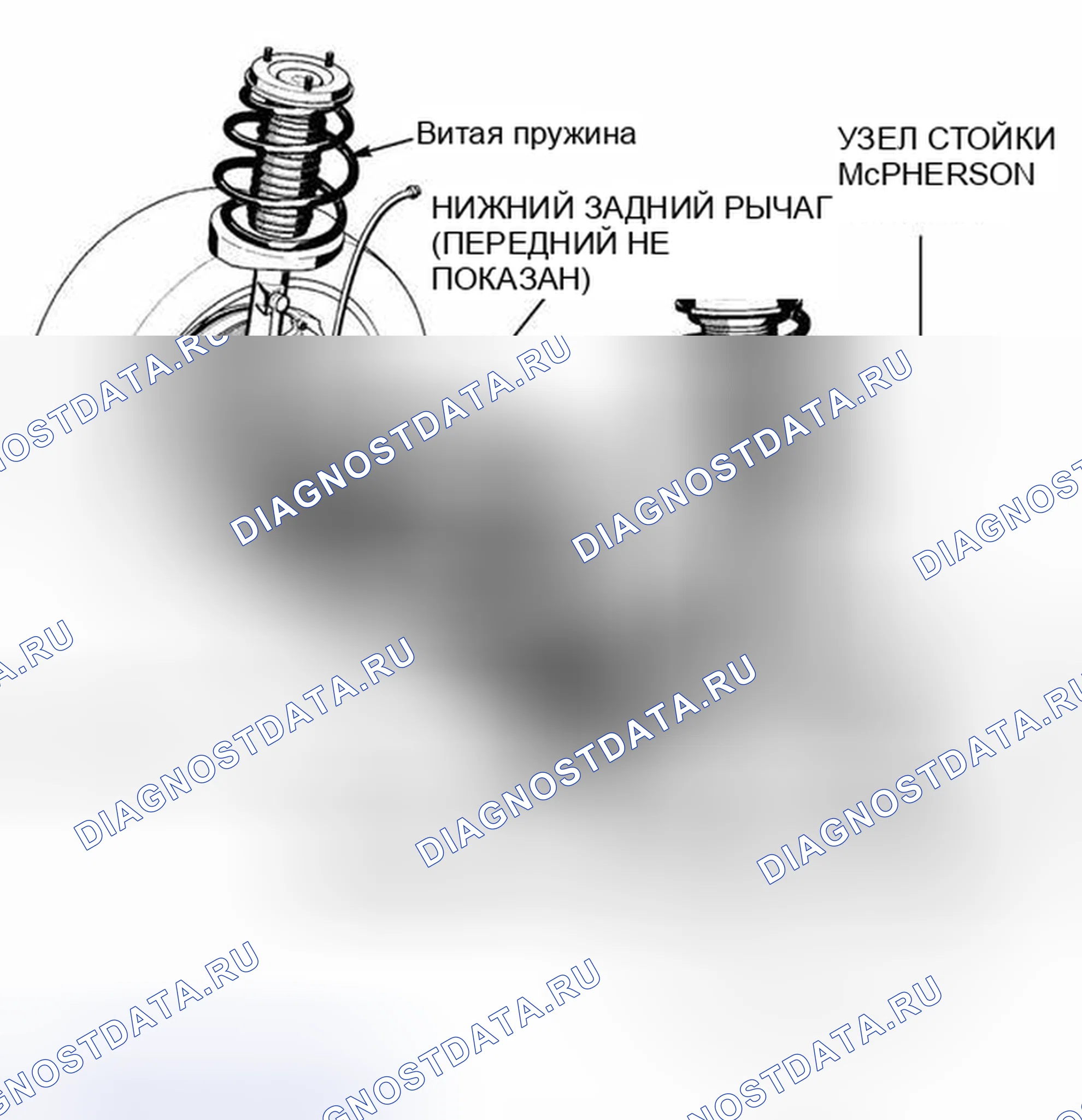 Рис. 22: Ось стойки пружины двойного шарнира. BMW M5 E34