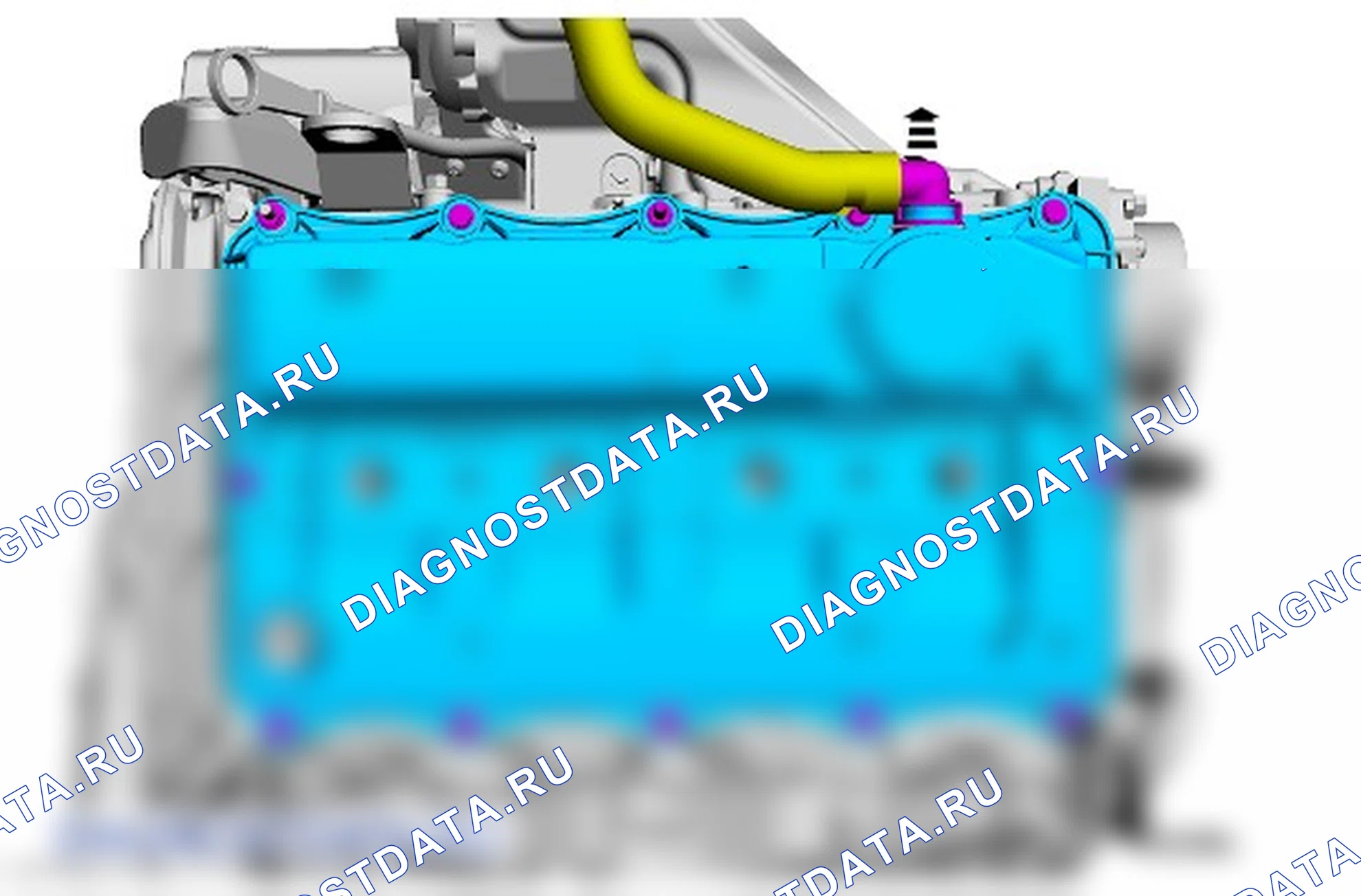 Как снять и установить крышку головки цилиндров. Ford Transit VIII