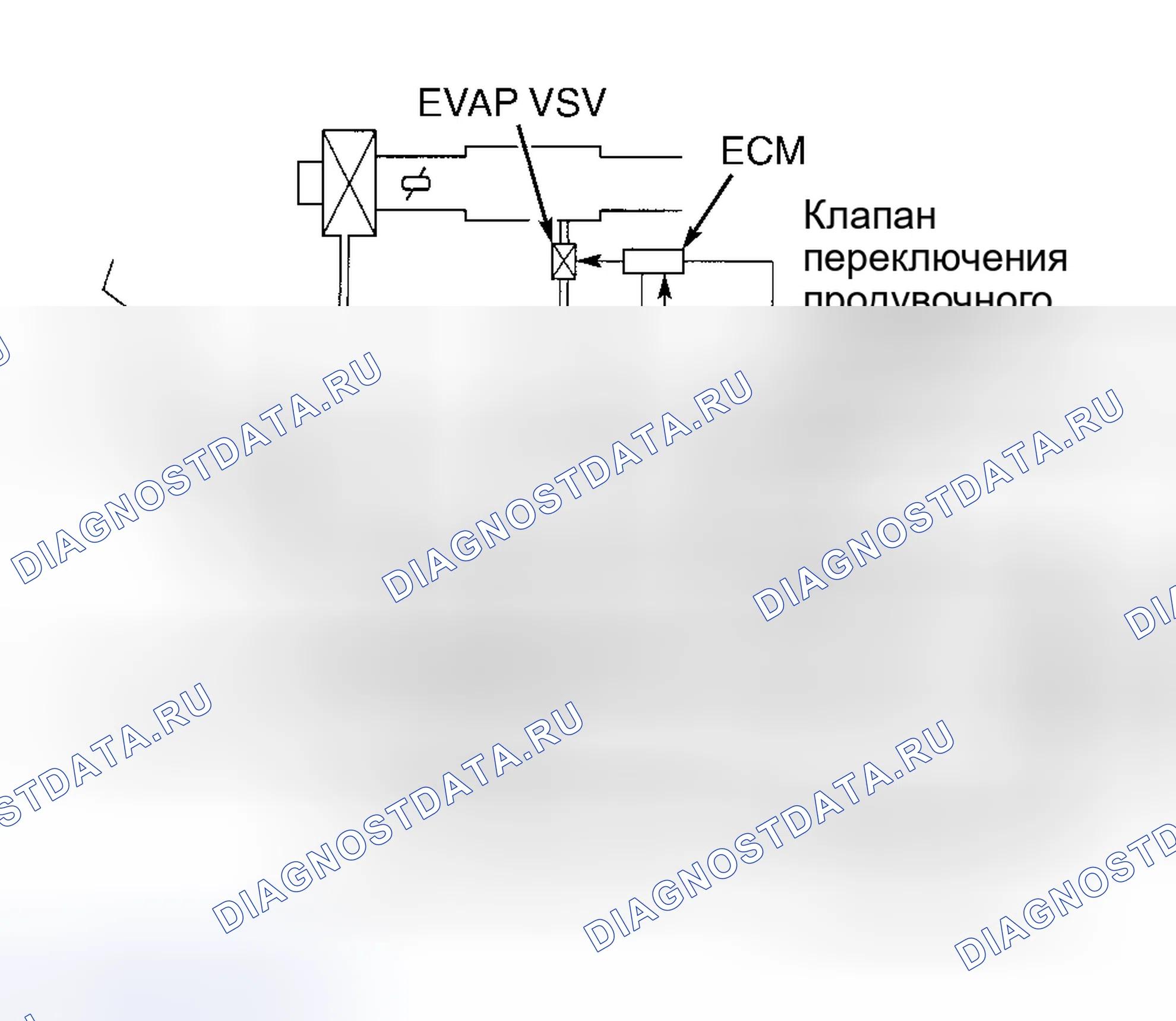 Рис. 22: Датчик давления паров (Prius). Toyota Camry XV30