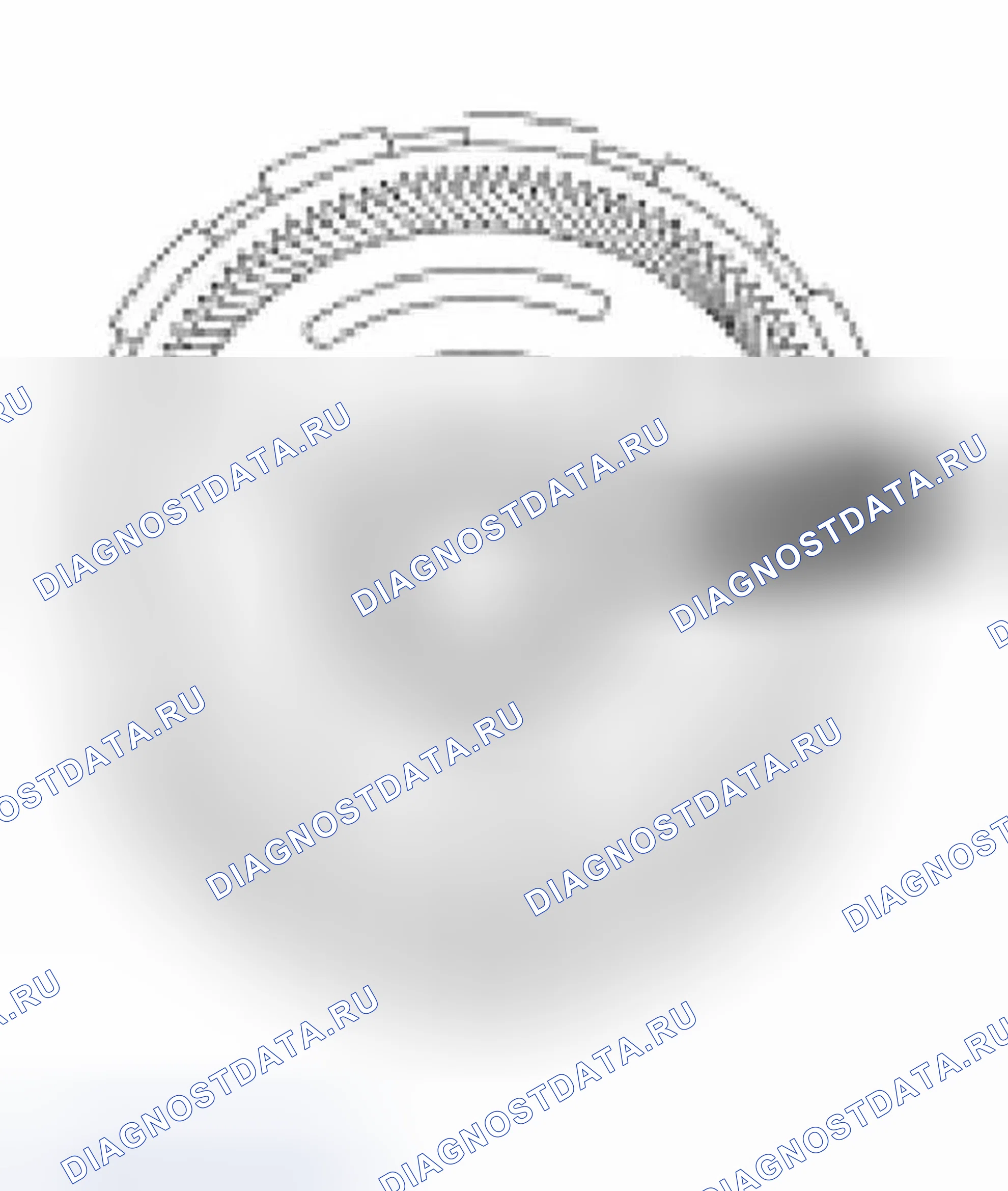 Рис. 301. Ford Focus I рестайлинг