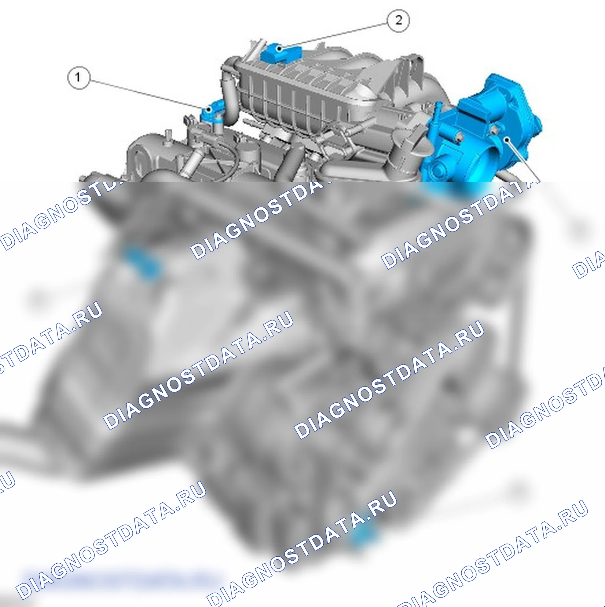 Электронные органы управления: описание и работа. Ford Transit VII