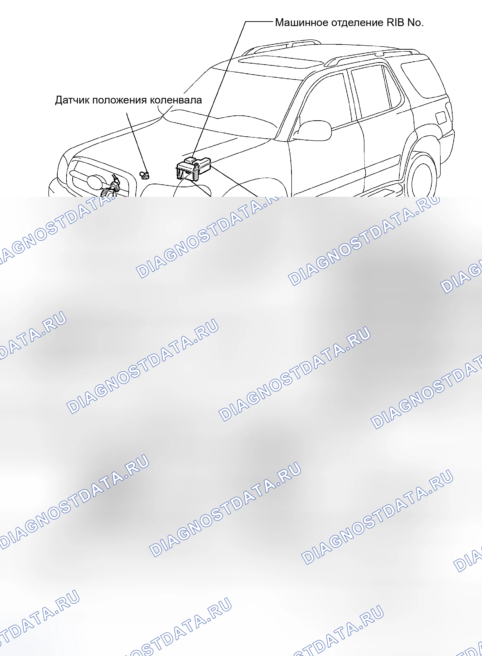 Рис. 101: РАСПОЛОЖЕНИЕ. Toyota Sequoia I рестайлинг