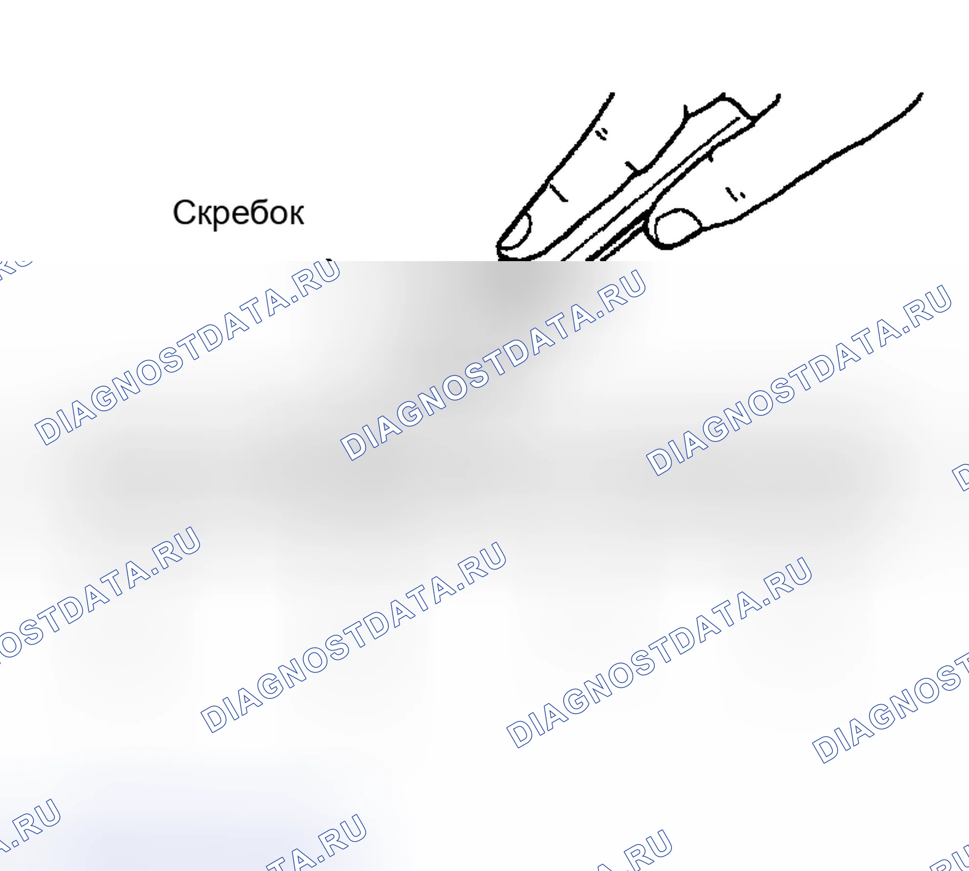 Рис. 21: ПРОЦЕДУРА УСТАНОВКИ ЖИДКОСТНОЙ ПРОКЛАДКИ. Honda Odyssey (North America) I