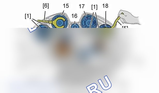 Снятие - установка: ремень ГРМ — b1ep1fyd. Citroen C5 I рестайлинг