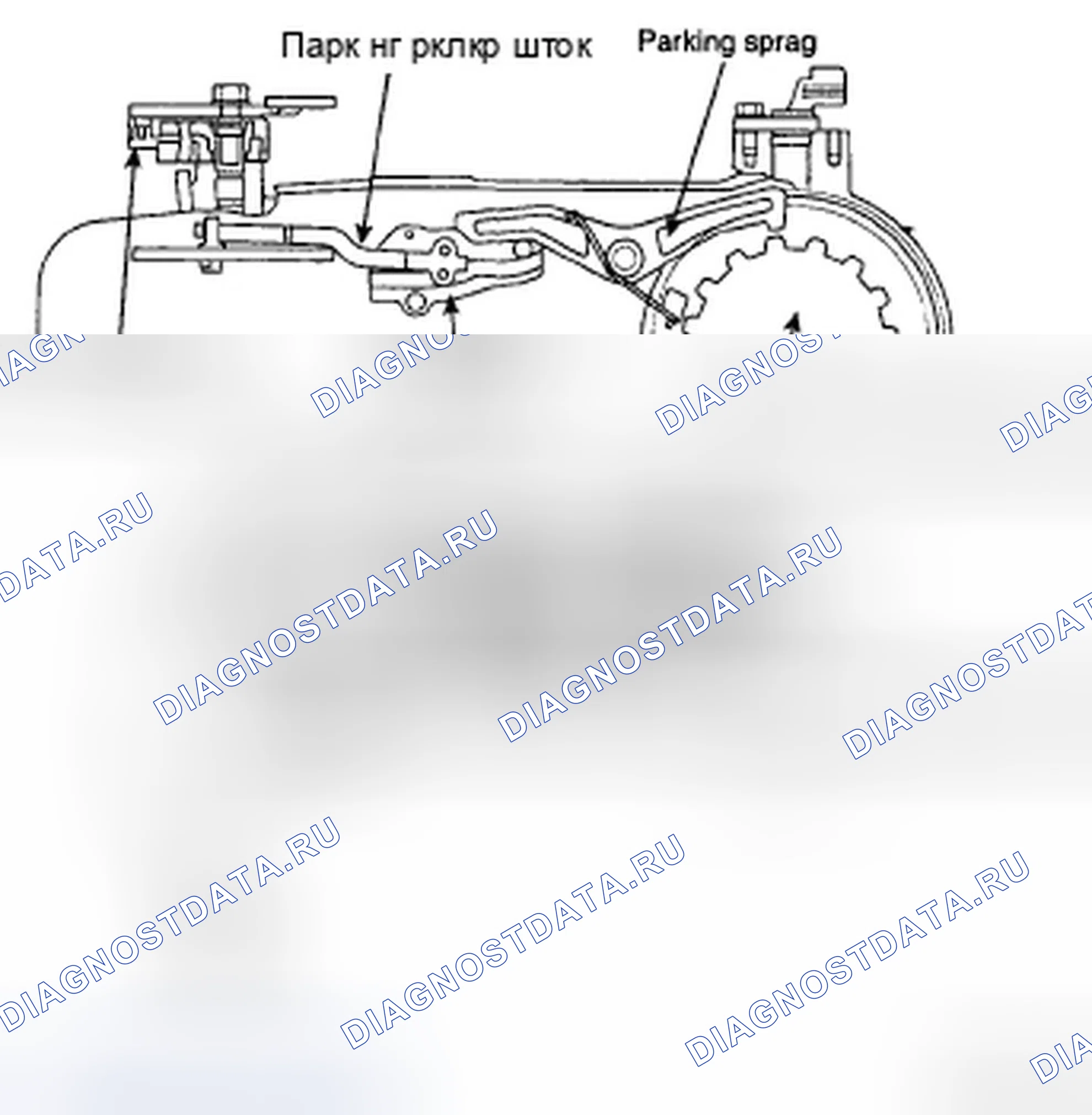 Рис. 249: ПАРКОВОЧНЫЙ МЕХАНИЗМ. Hyundai Sonata V рестайлинг