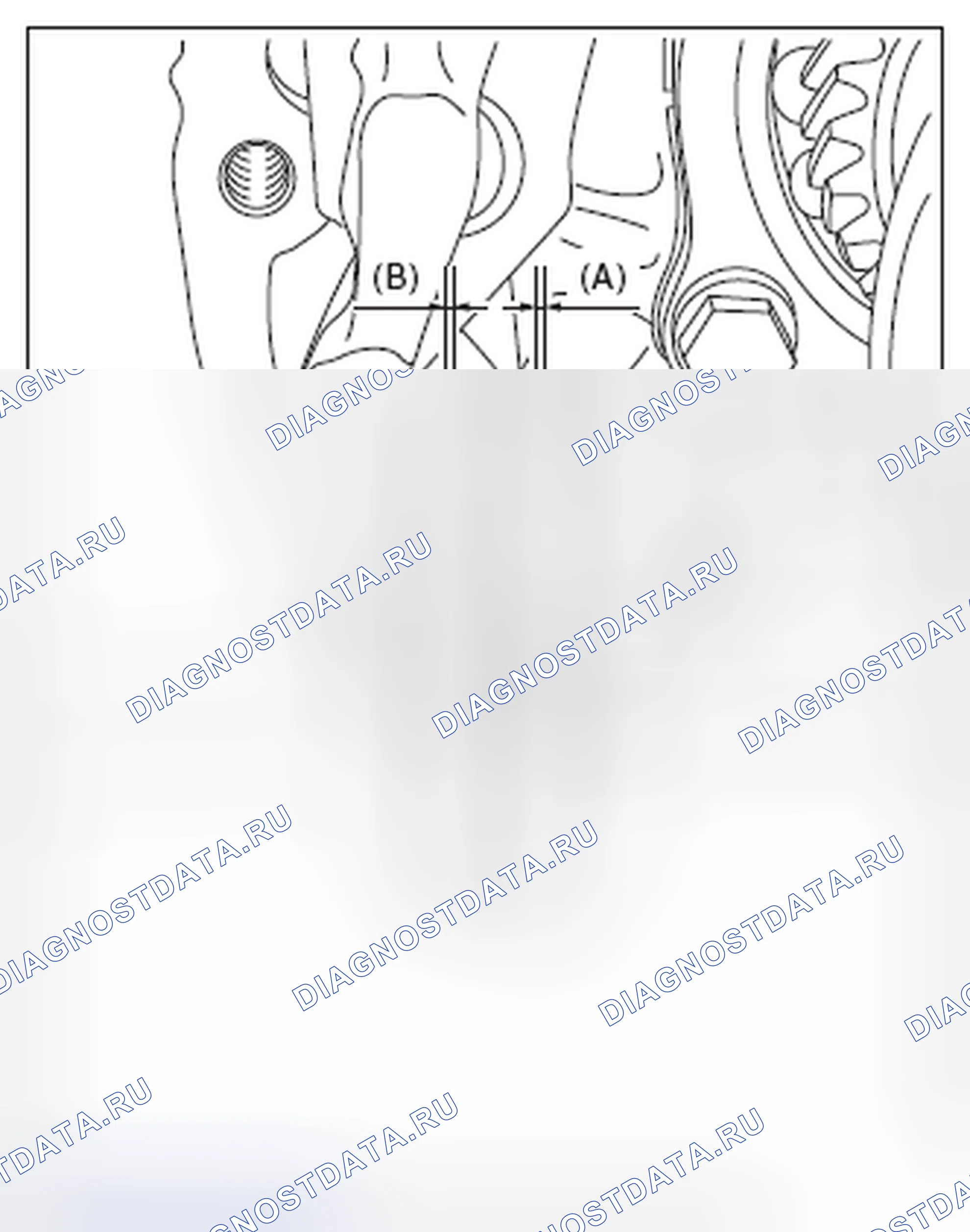 Рис. 46. Subaru Outback BR рестайлинг