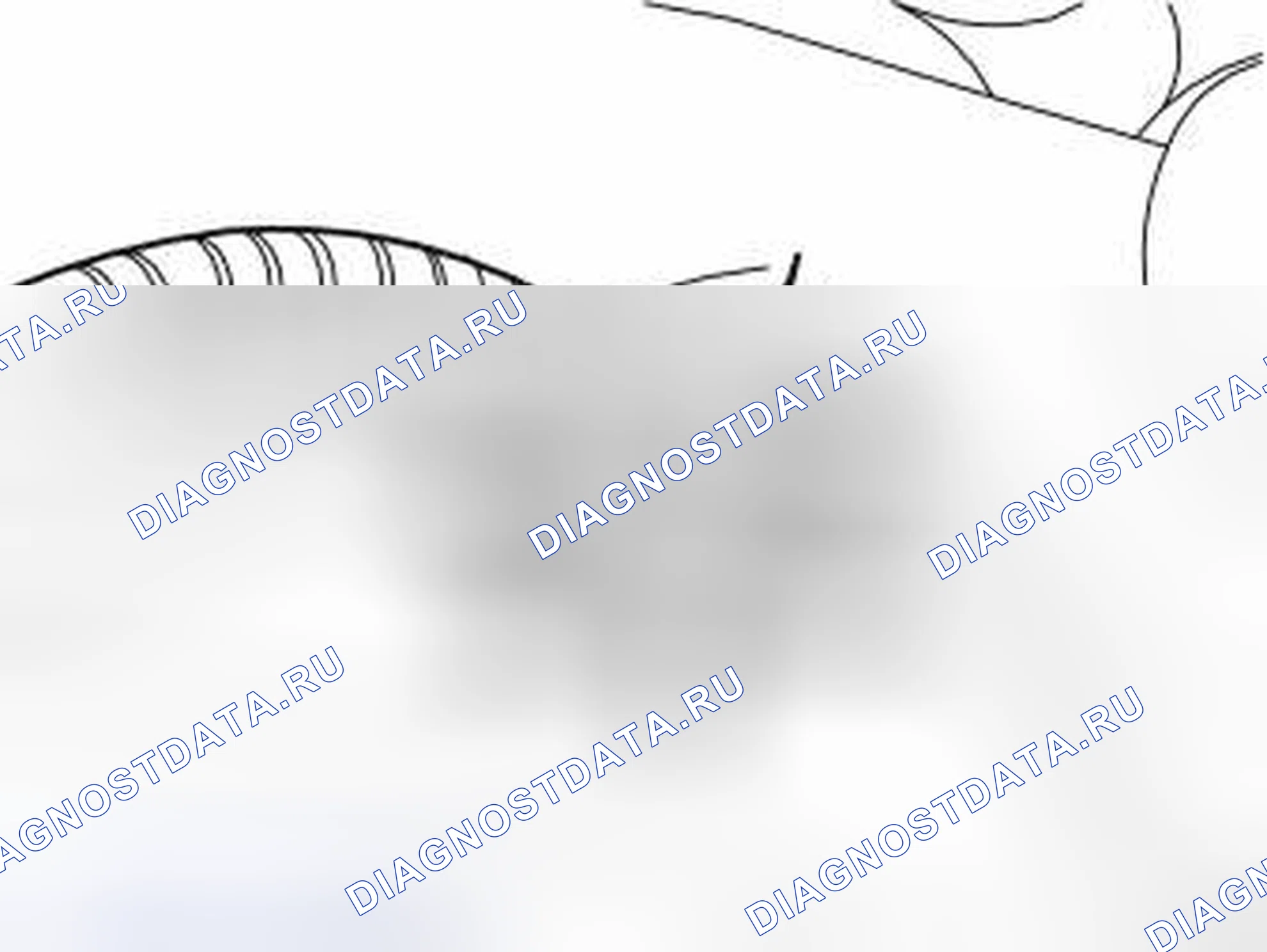 Рис. 153. Volvo S40 II рестайлинг