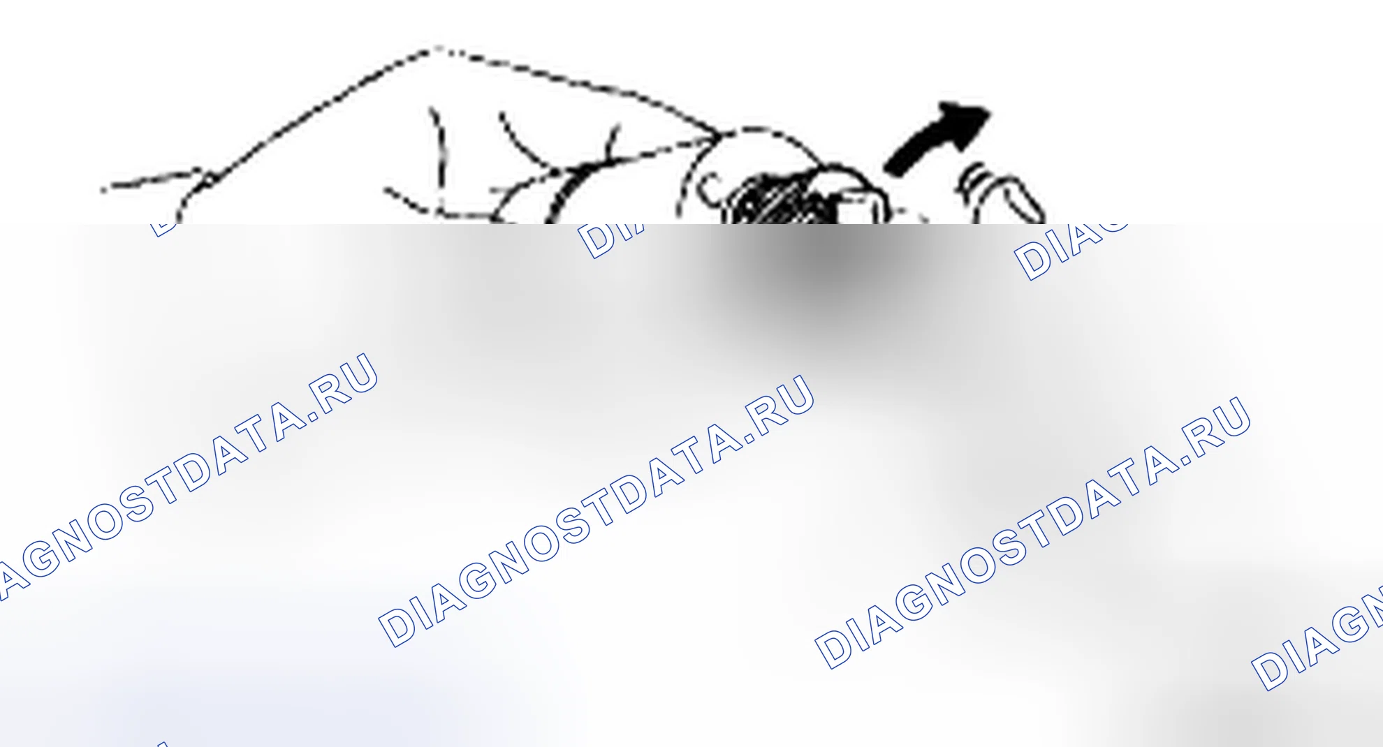 Рис. 84. Haval H5 II
