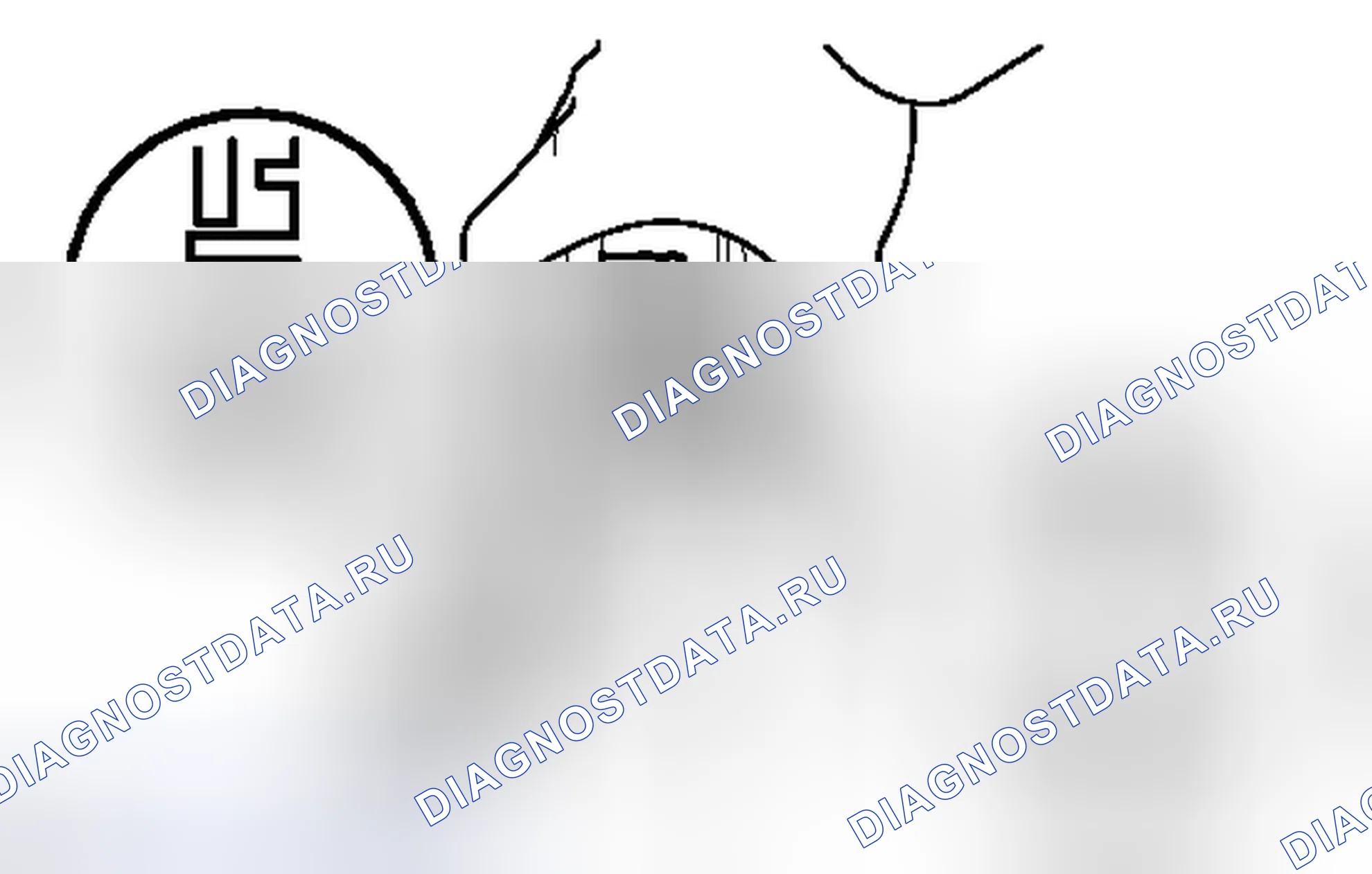 Рис. 39. Toyota FJ Cruiser I