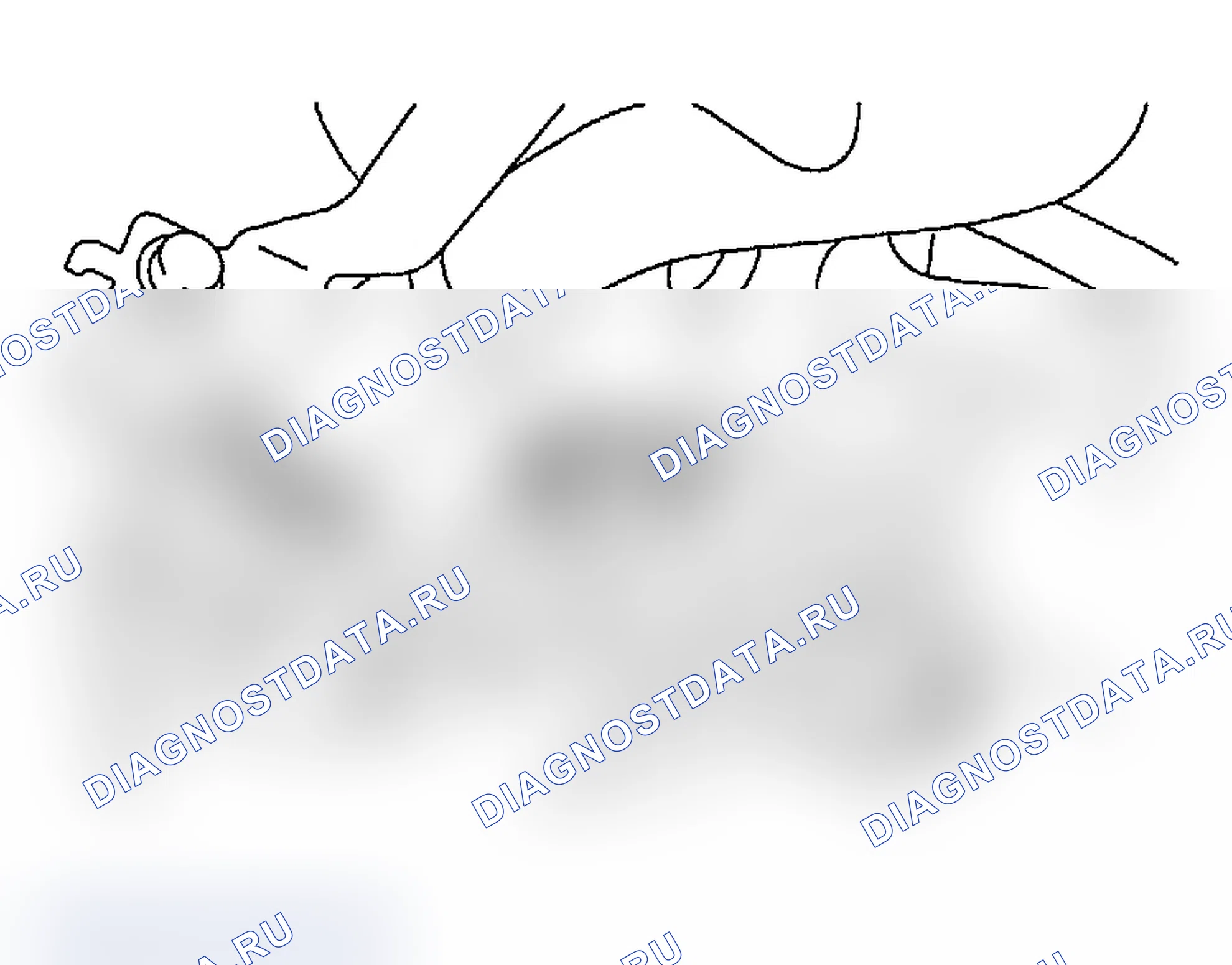 Рис. 178. Subaru Impreza WRX GD/GG рестайлинг