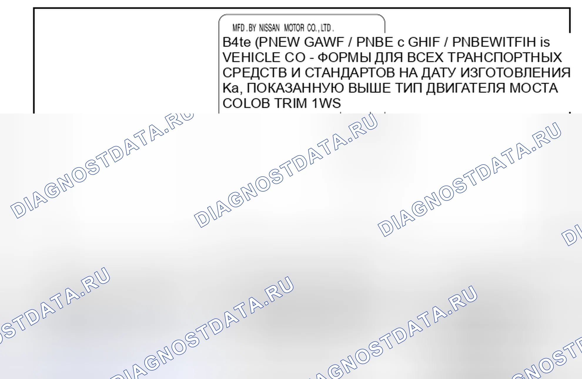 Рис. 100: ЭТИКЕТКА СЕРТИФИКАЦИИ. Nissan Murano Z51 рестайлинг 2