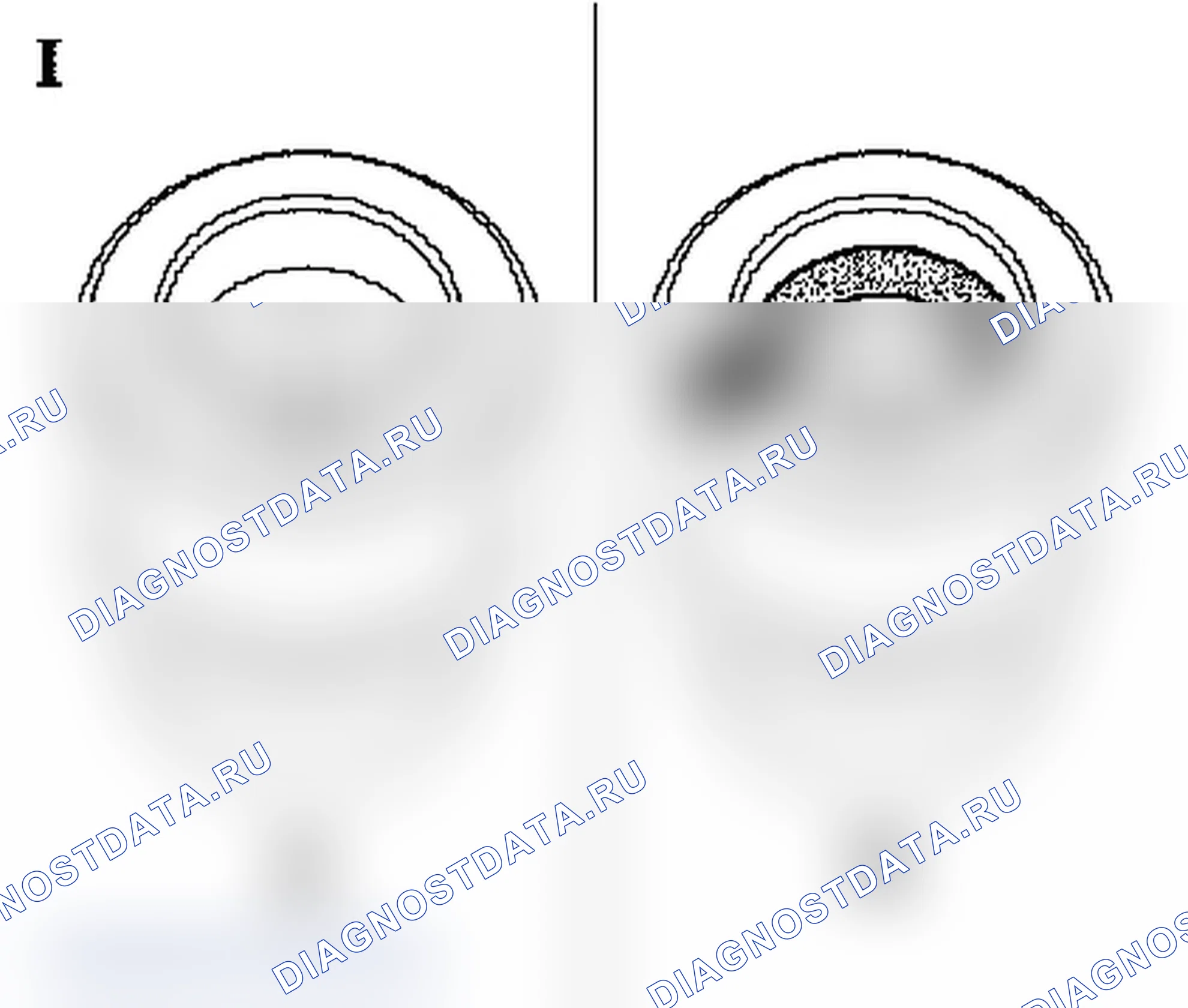 CNG Filler Inlet - Impossible to refuel the CNG-Tank. Opel Zafira A рестайлинг