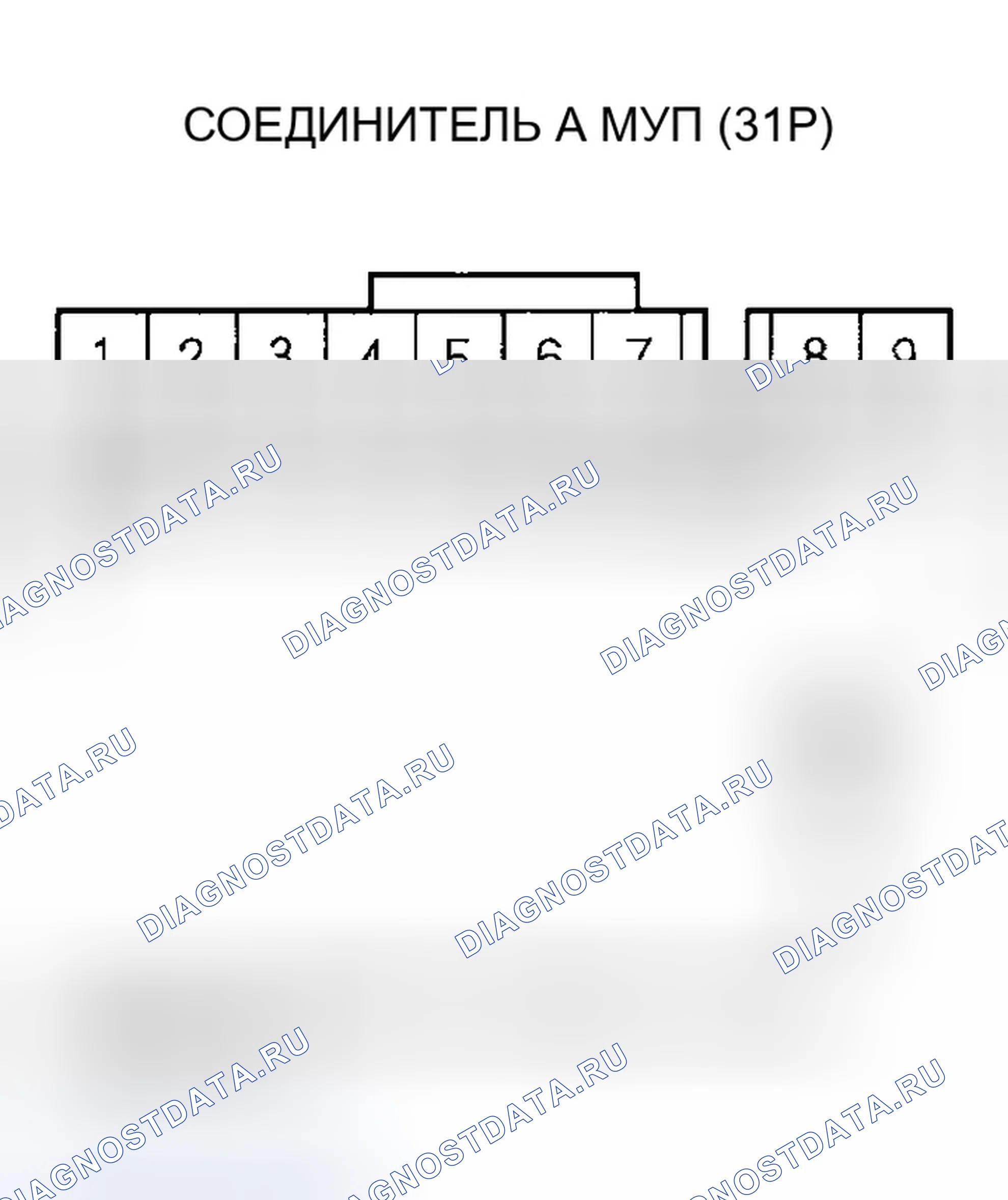 Рис. 555. Honda Element YH2