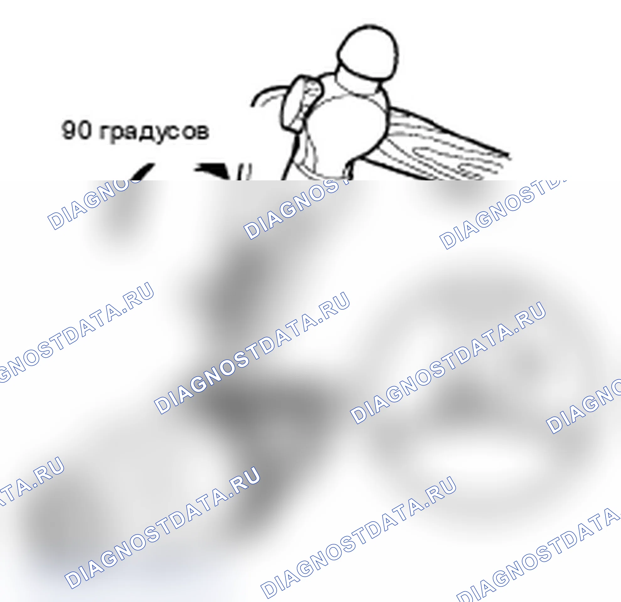 Рис. 109. Acura RL II рестайлинг
