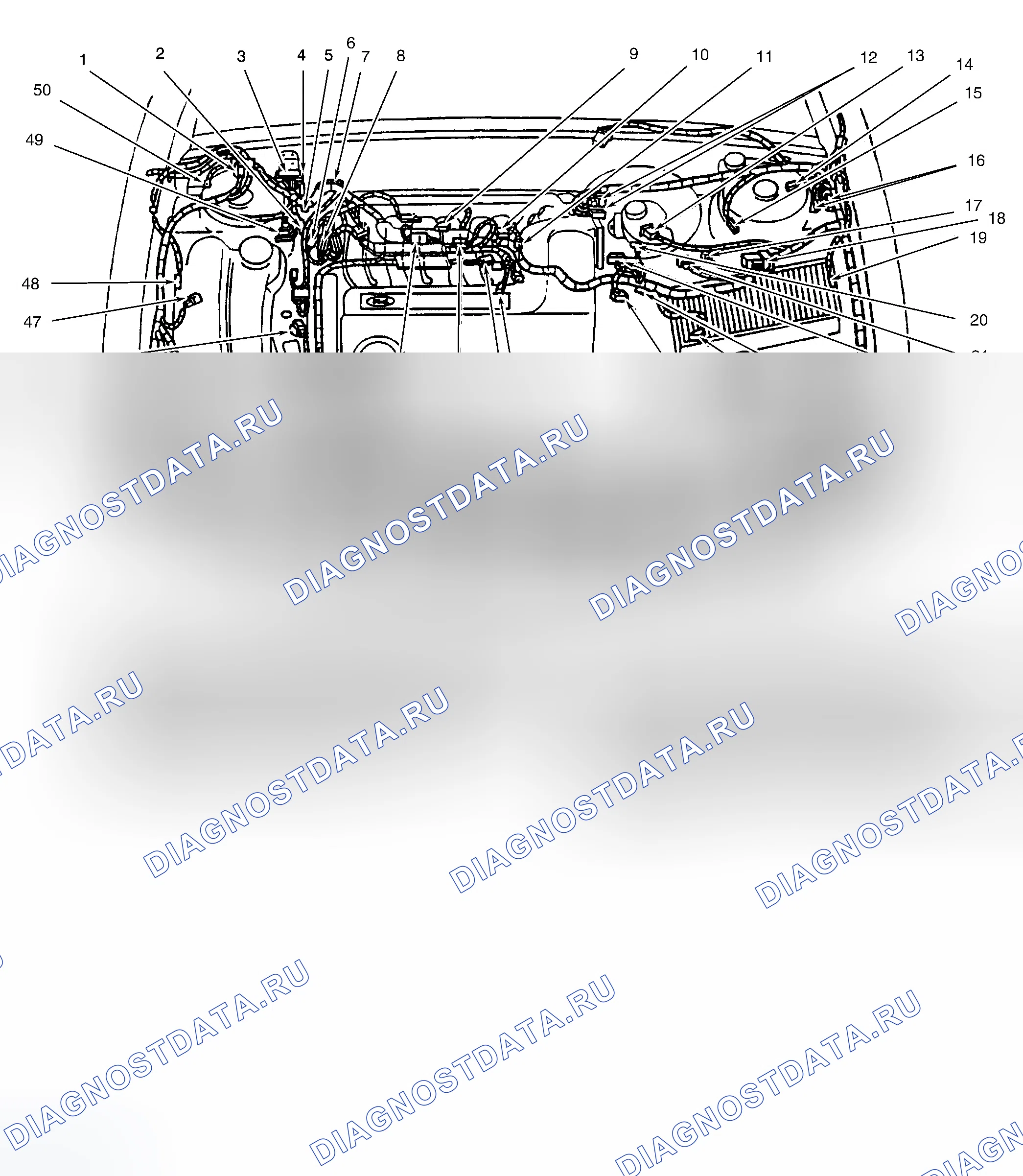Рис. 5: Моторный отсек. Ford Contour I