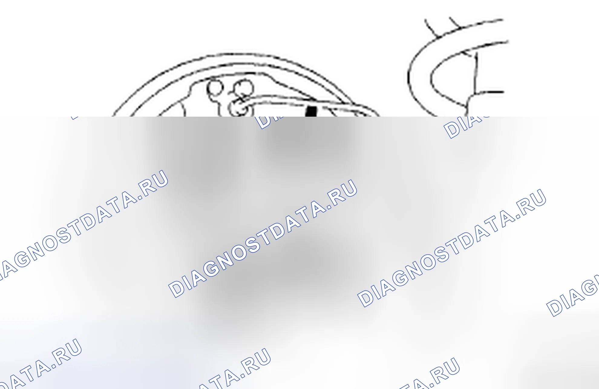 Рис. 100. Toyota Corolla X