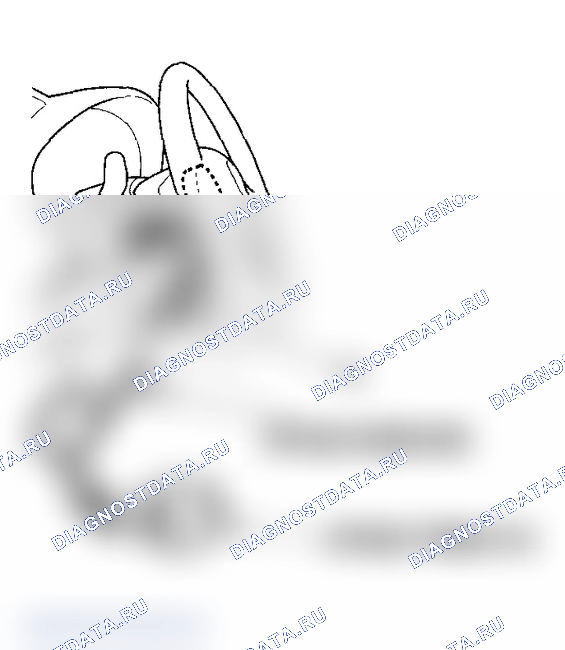 Рис. 87. Acura RSX I
