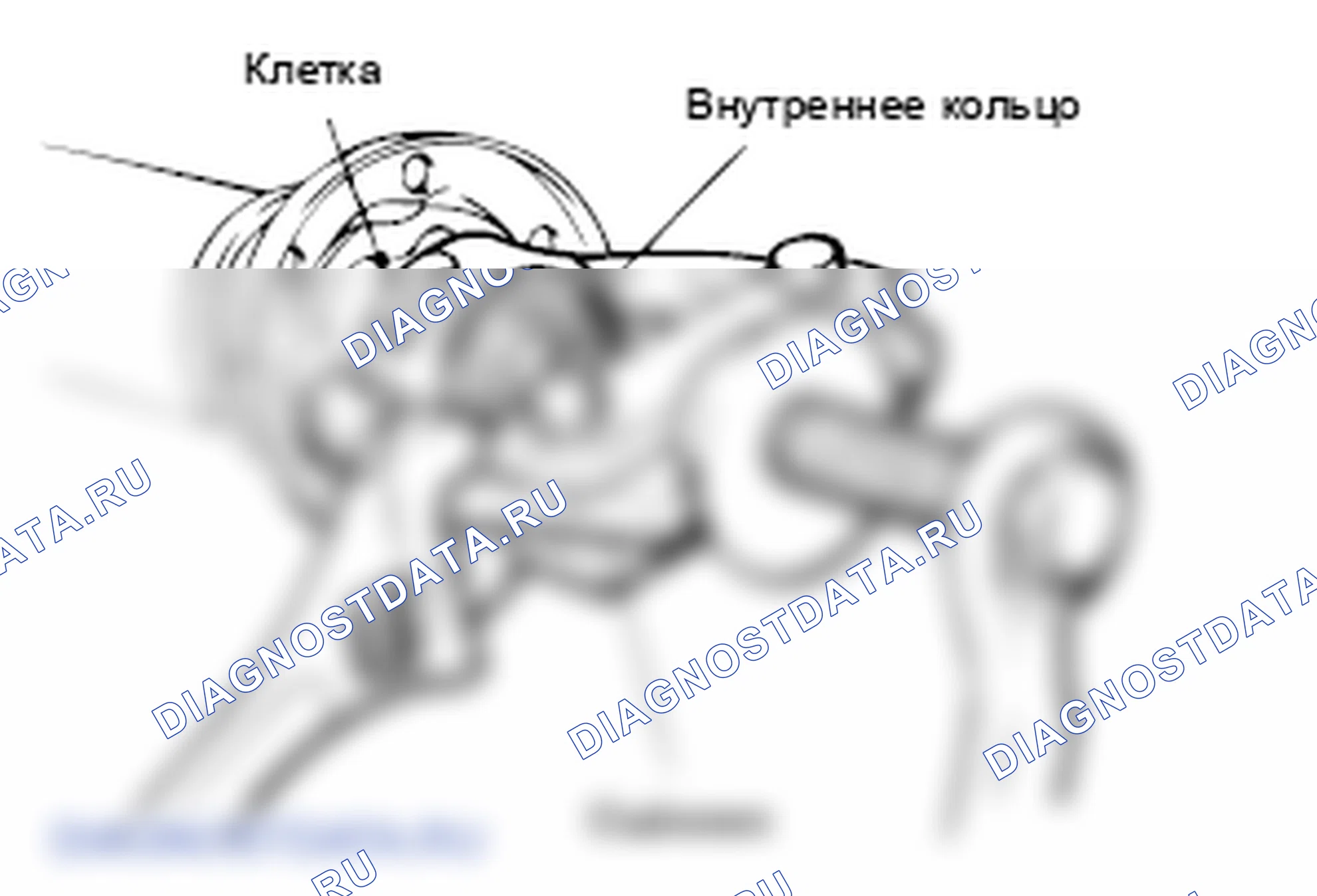 Рис. 13. Mitsubishi Lancer X рестайлинг