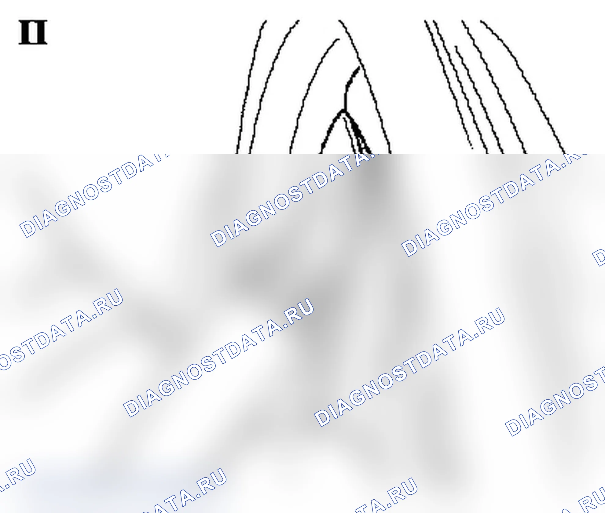 Rear door, fixed window - Wind noise. Opel Signum I рестайлинг