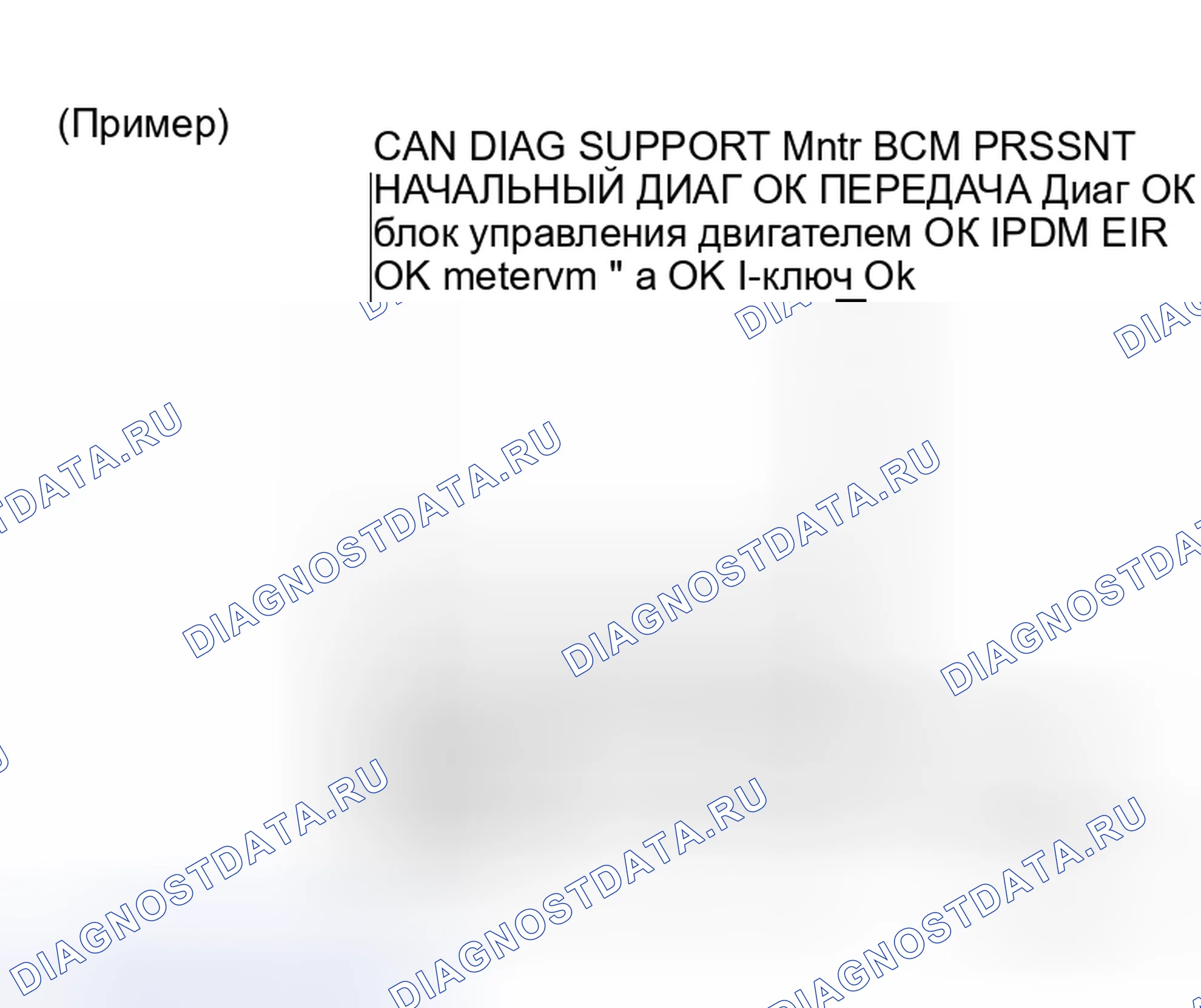 Рис. 24: ОПИСАНИЕ ЭКРАНА " CAN DIAG SUPPORT Mntr " ДЛЯ BCM. Honda S2000 I