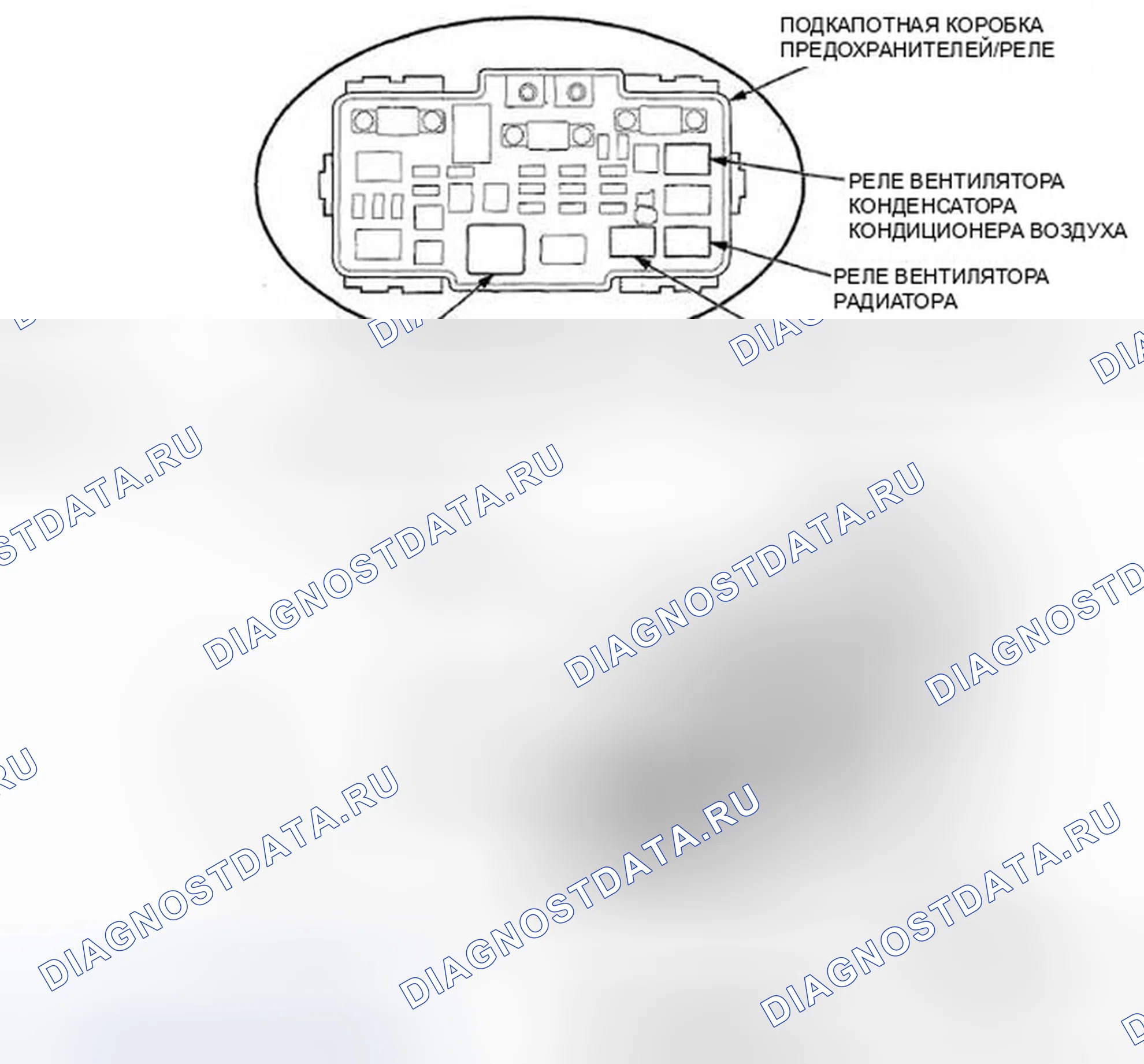 Рис. 4. Honda Element YH2 рестайлинг
